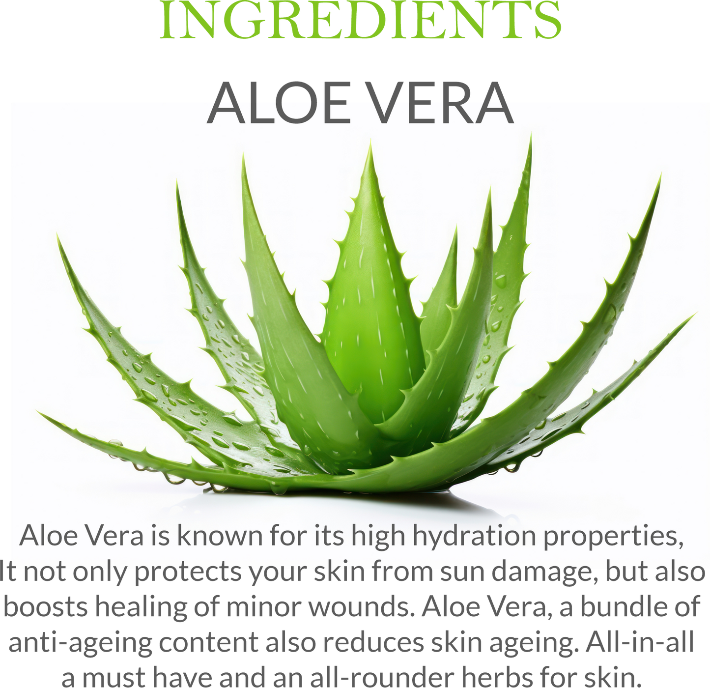 Natural Ingredients in Mountain Ayurveda Aloe Vera Gel – Pure Aloe Vera Extract