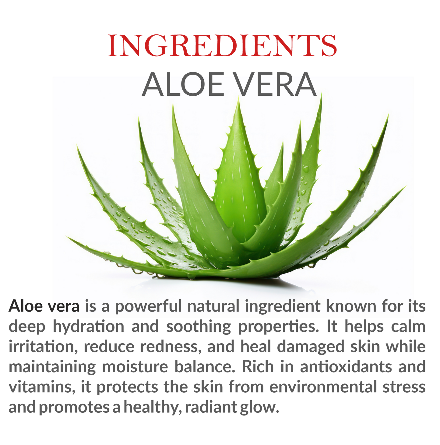 Natural Ingredients in Janakshahi Aloe Vera Face Wash – Aloe Vera & Herbal Extracts