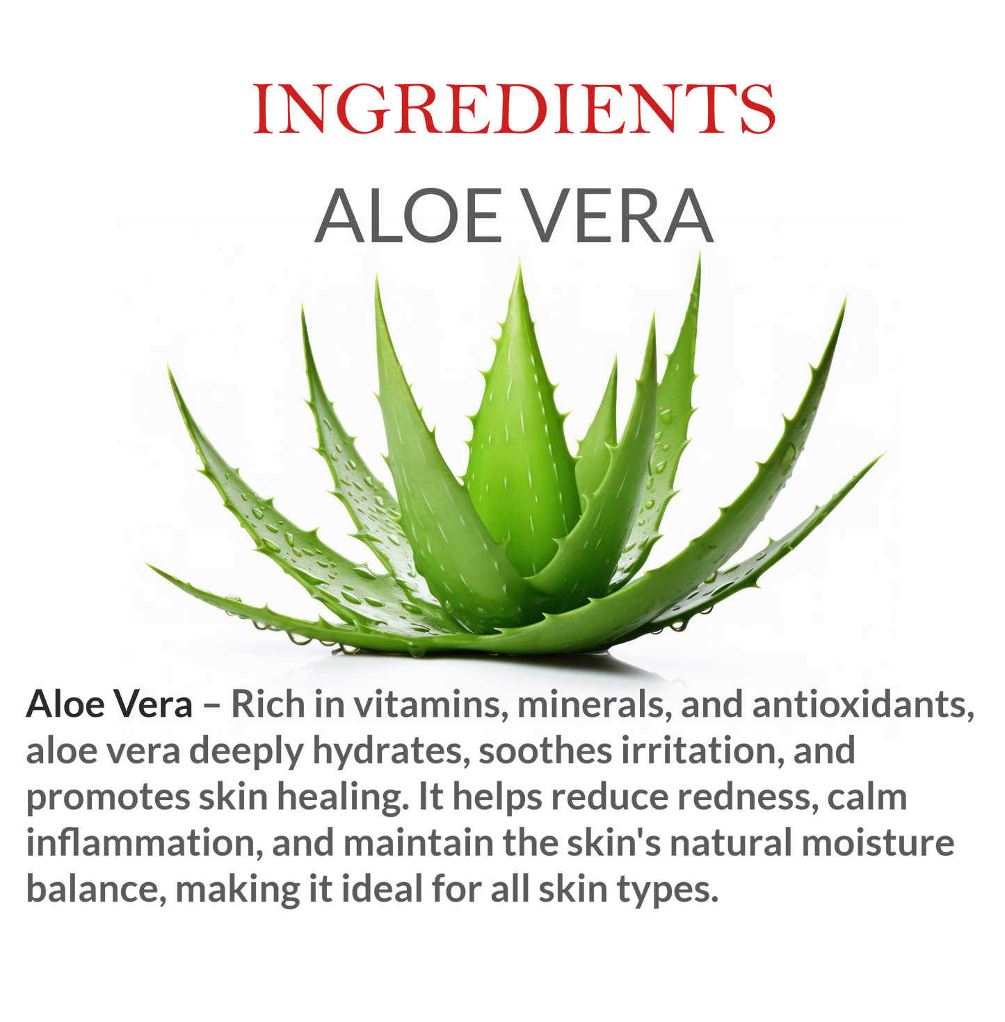 Natural Ingredients in Janakshahi Aloe Vera Toner – Herbal Face Care