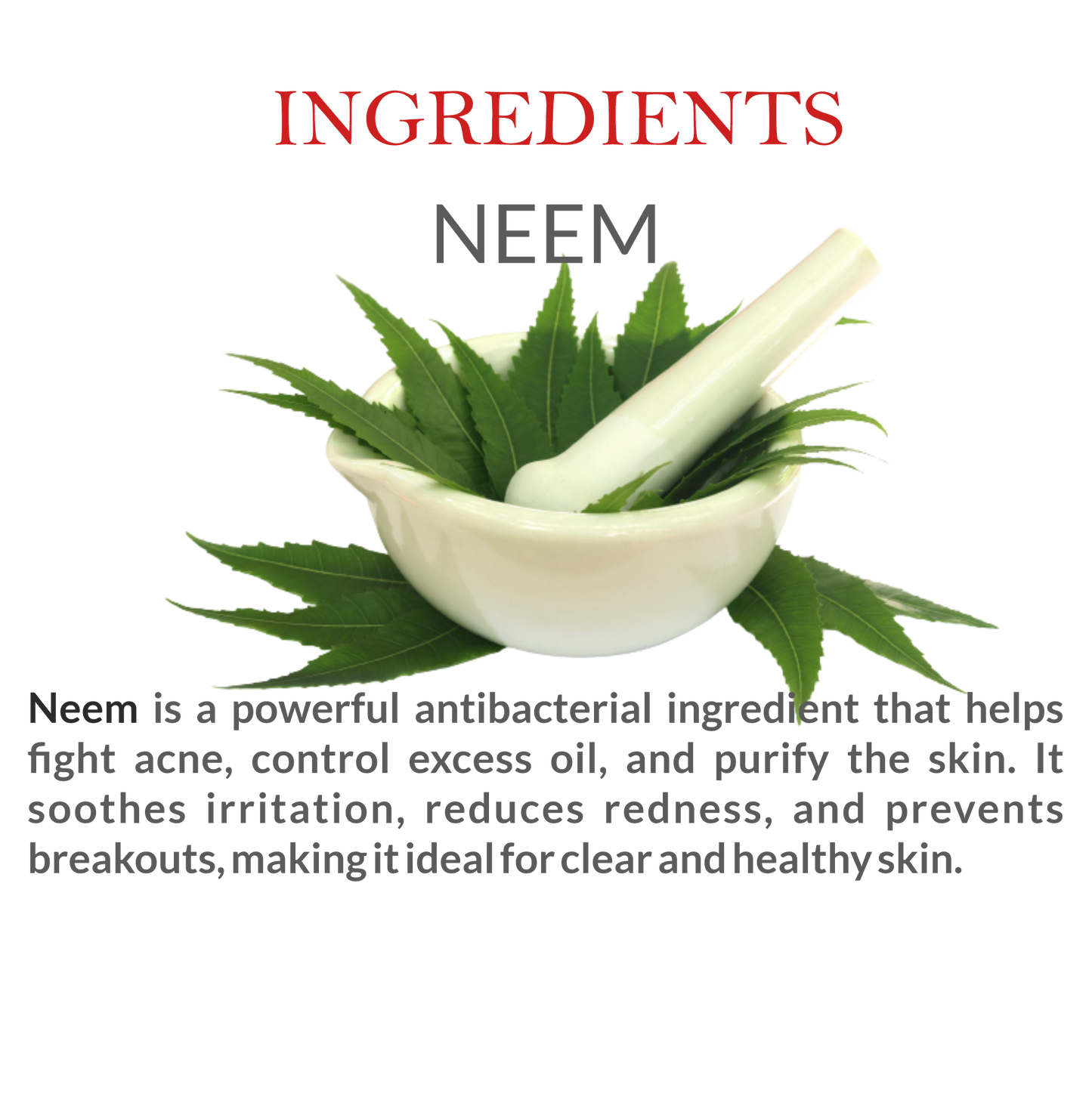 Natural Ingredients in Janakshahi Neem Face Scrub – Neem Extract, Herbal Exfoliants
