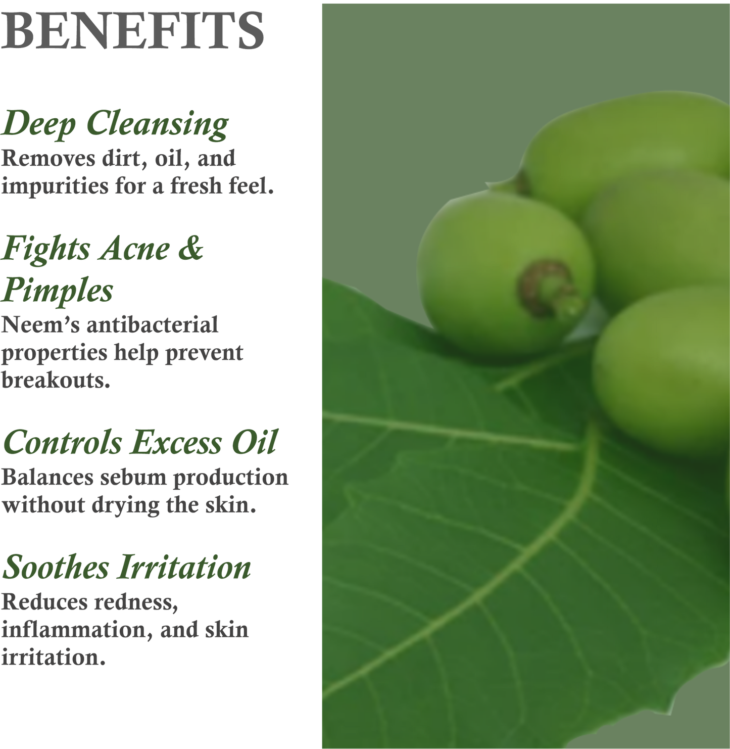 Benefits of Janakshahi Neem Face Wash – Acne Control, Oil Reduction, Deep Cleansing