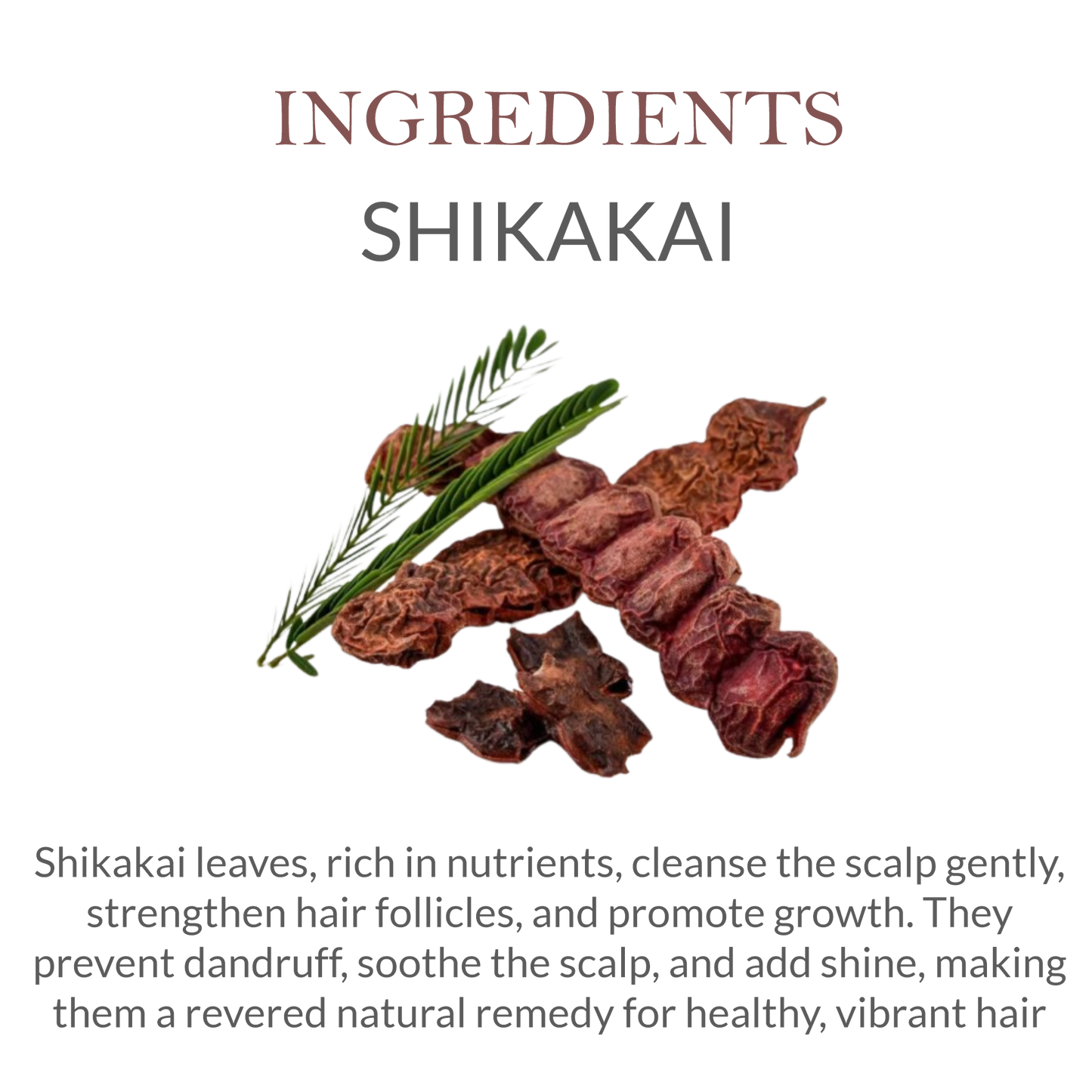 Natural Ingredients in Janakshahi Shikakai Shampoo – Shikakai, Reetha, Amla