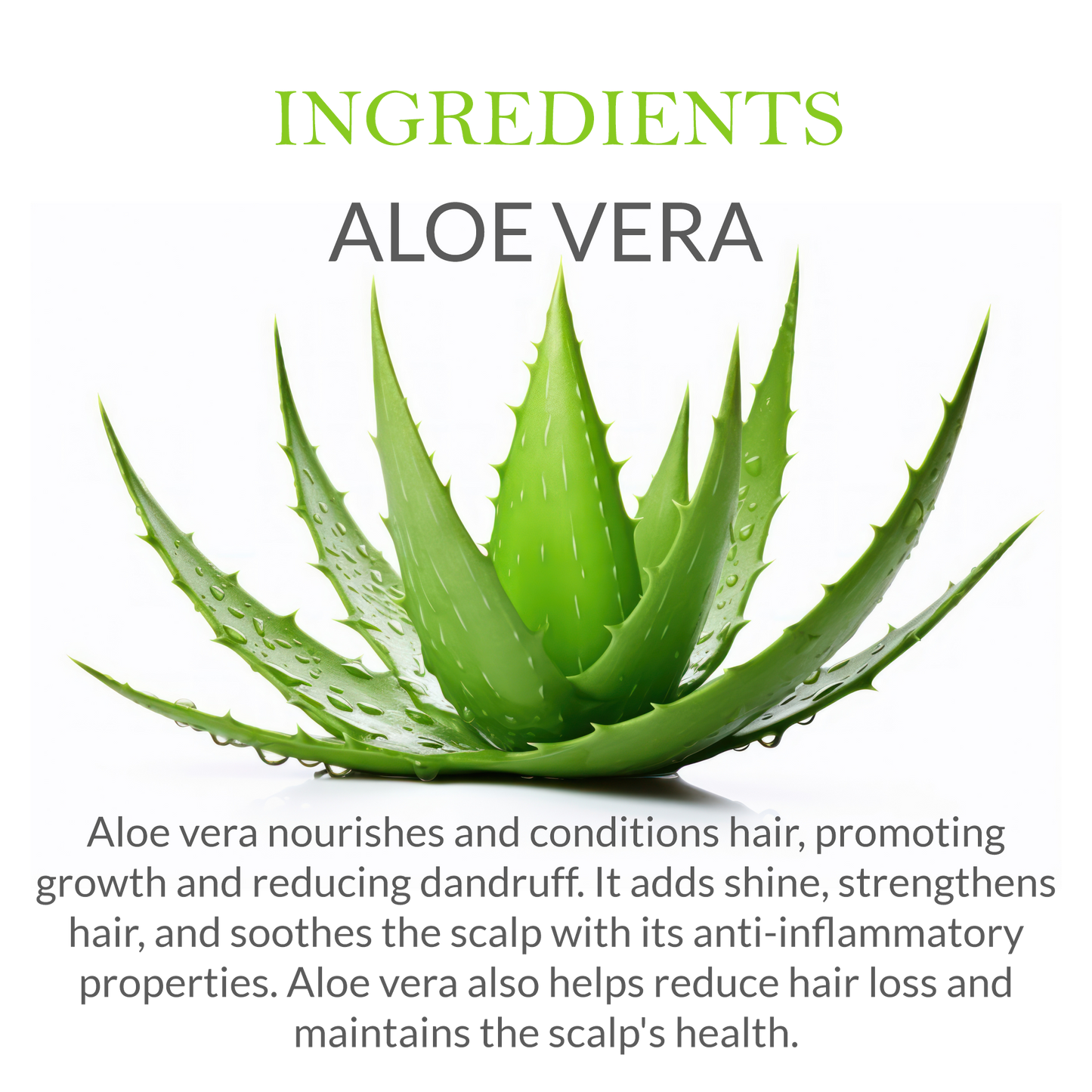 Natural ingredients in Khadi Aloe Vera Shampoo - Aloe Vera, Neem, and herbal extracts