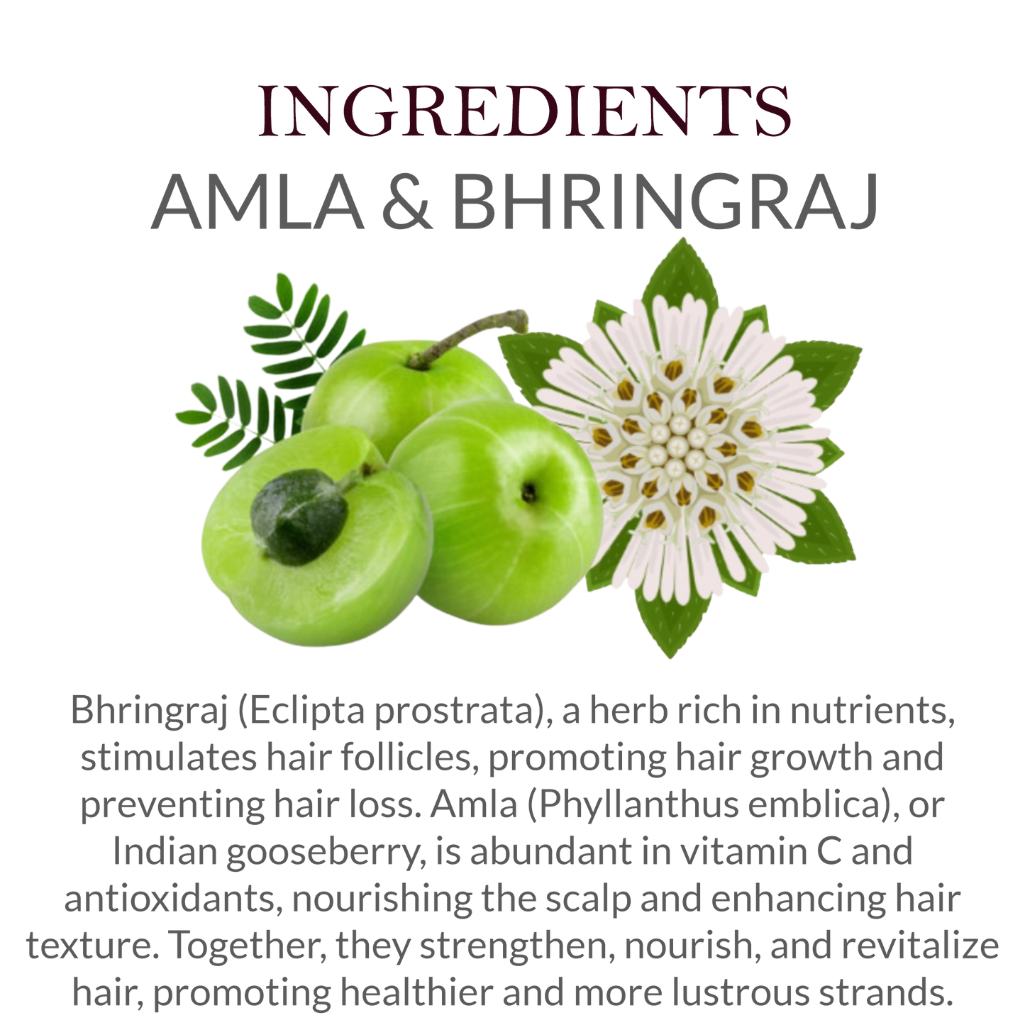 Natural ingredients in Khadi Amla Bhringraj Shampoo - Amla & Bhringraj