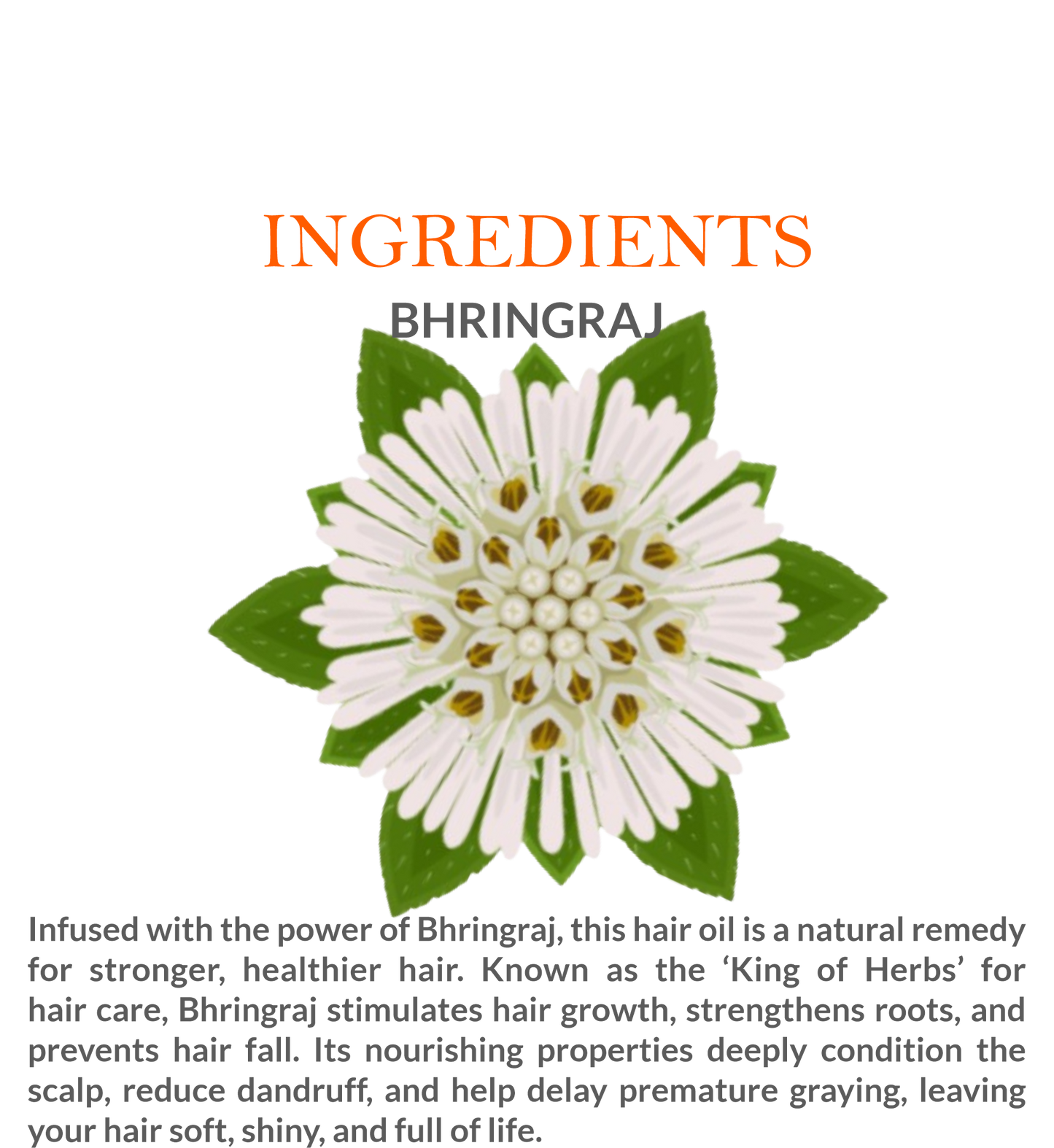 Ingredients list of Khadi Bhringraj Herbal Hair Oil featuring Bhringraj, Amla & Brahmi