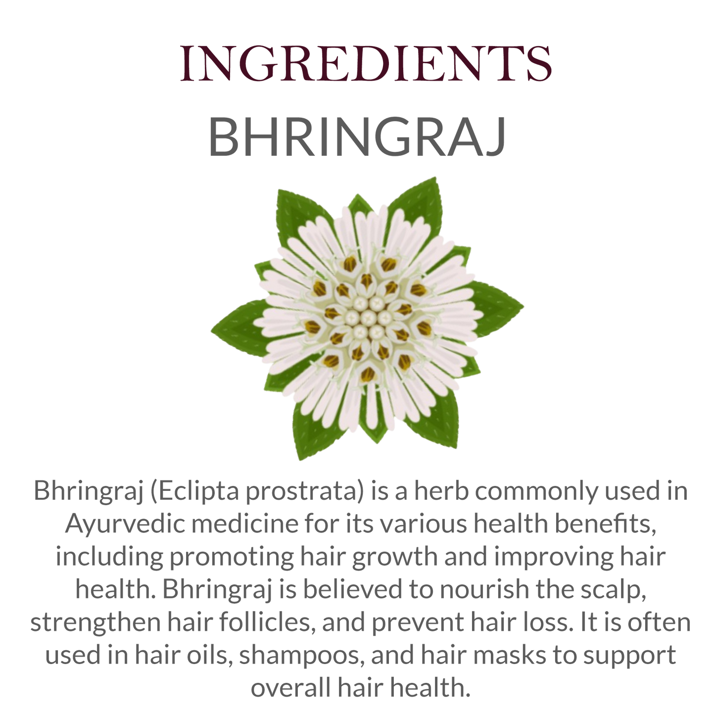 Natural ingredients in Khadi Bhringraj Shampoo - Bhringraj, Amla, Reetha, and herbal extracts