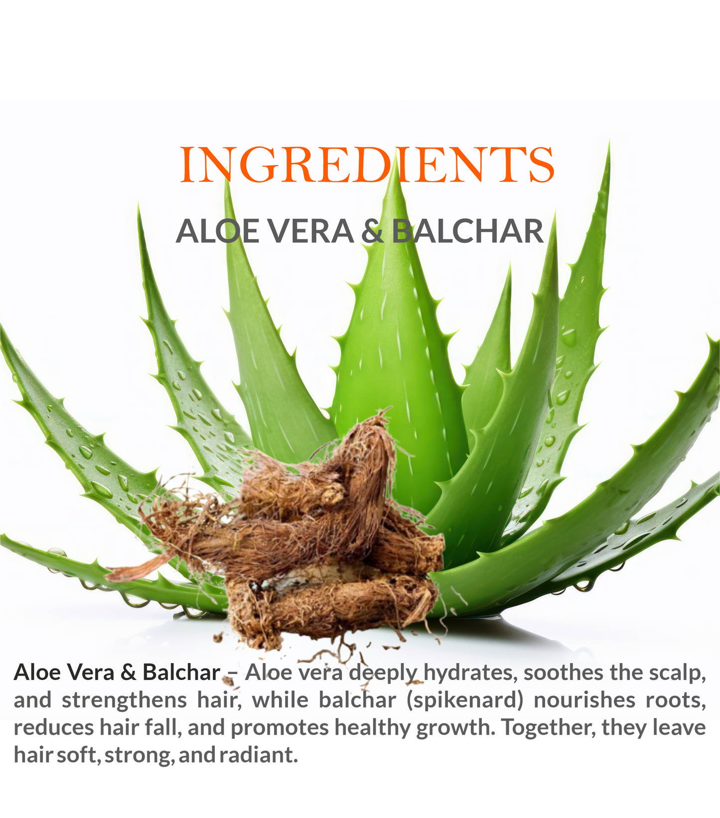 Khadi Herbal Hair Conditioner with Aloe Vera & Balchar – Key Ingredients and Benefits