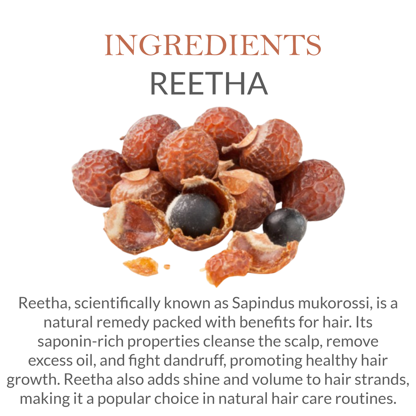 Herbal Ingredients in Khadi Reetha Shampoo – Soapnut & Ayurvedic Extracts