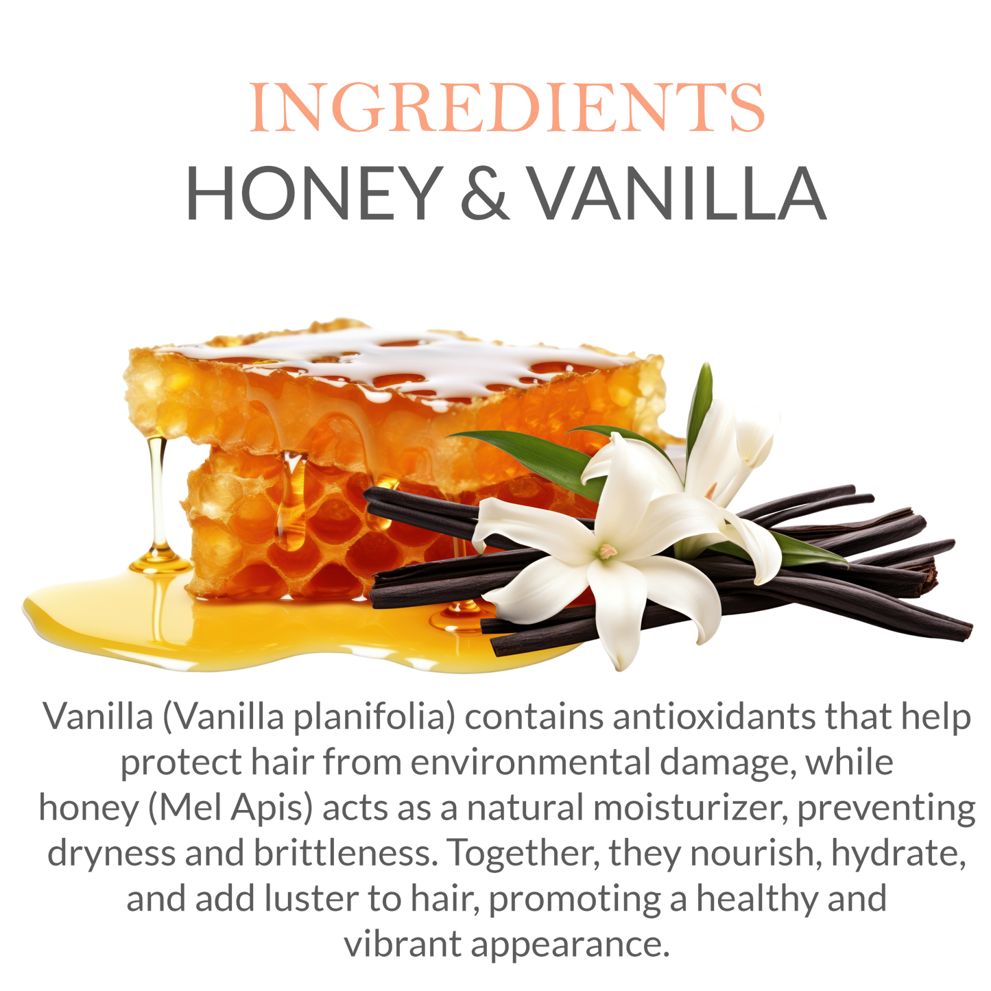 Natural ingredients in Khadi Honey Vanilla Shampoo - Honey & Vanilla Extract