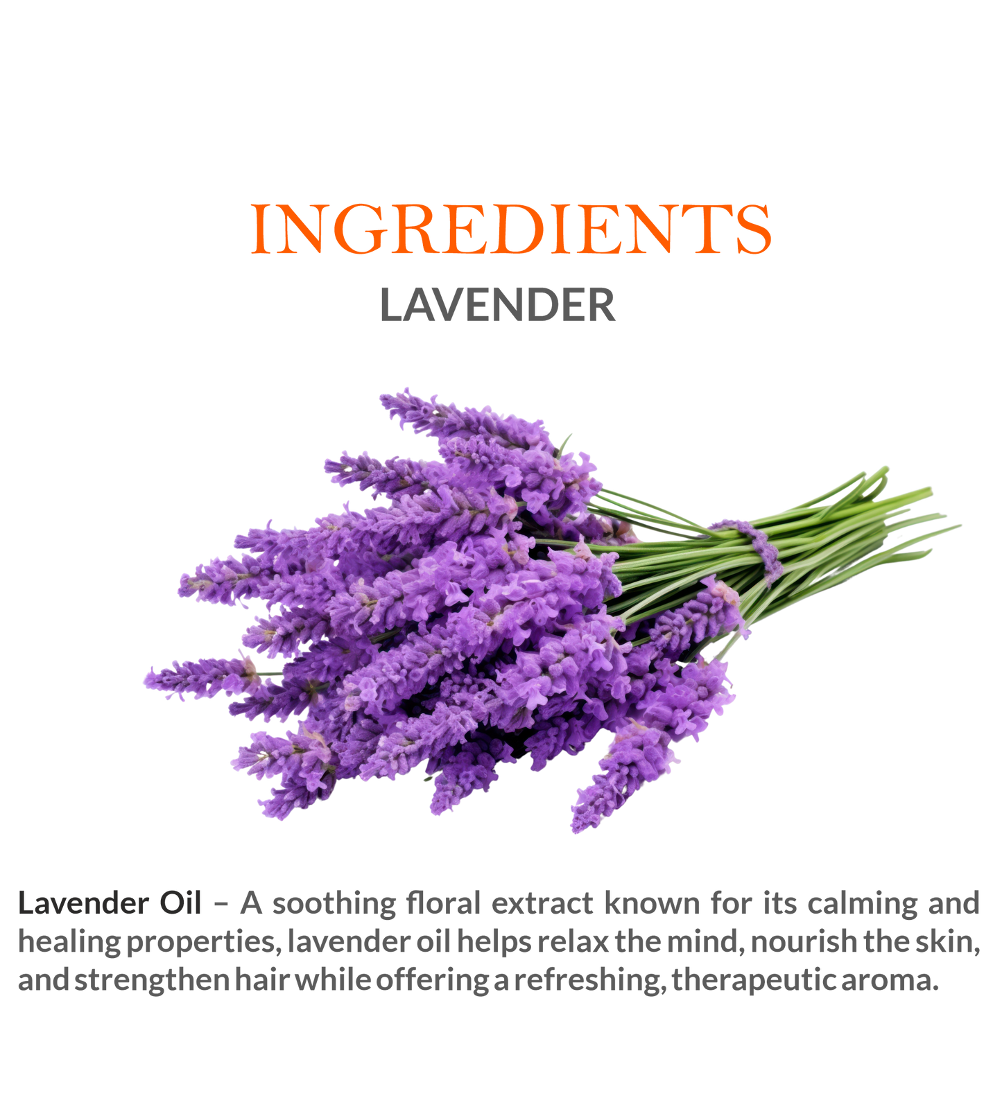 Natural Ingredients in Khadi Lavender Essential Oil – Steam-Distilled for Purity
