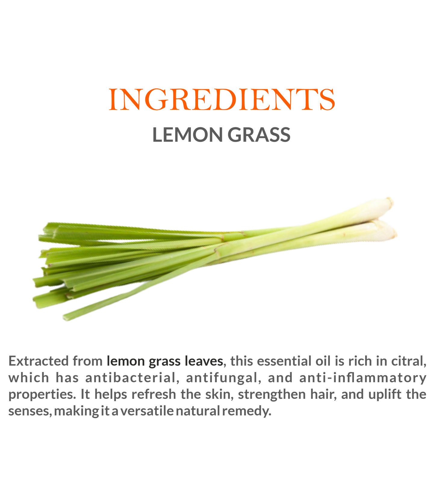 Natural Ingredients in Khadi Lemongrass Essential Oil – Steam-Distilled for Maximum Purity