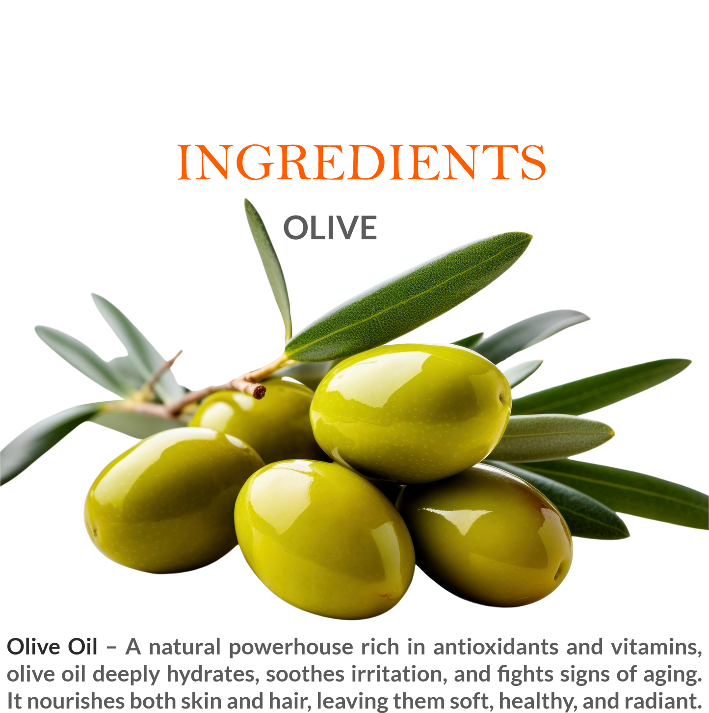 Natural ingredients in Khadi Pure Olive Oil β Pure olive extract & vitamins