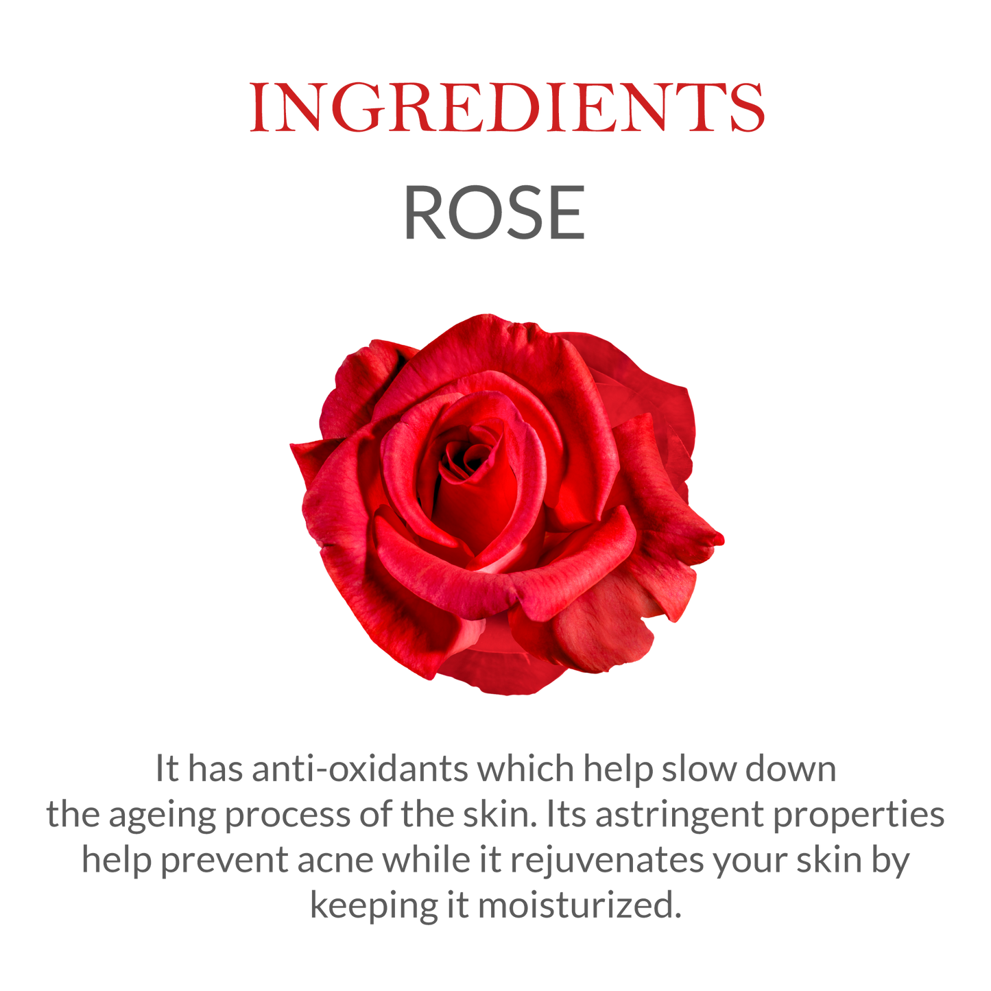 List of natural ingredients in Khadi Pure Rose Water, including steam-distilled rose petals