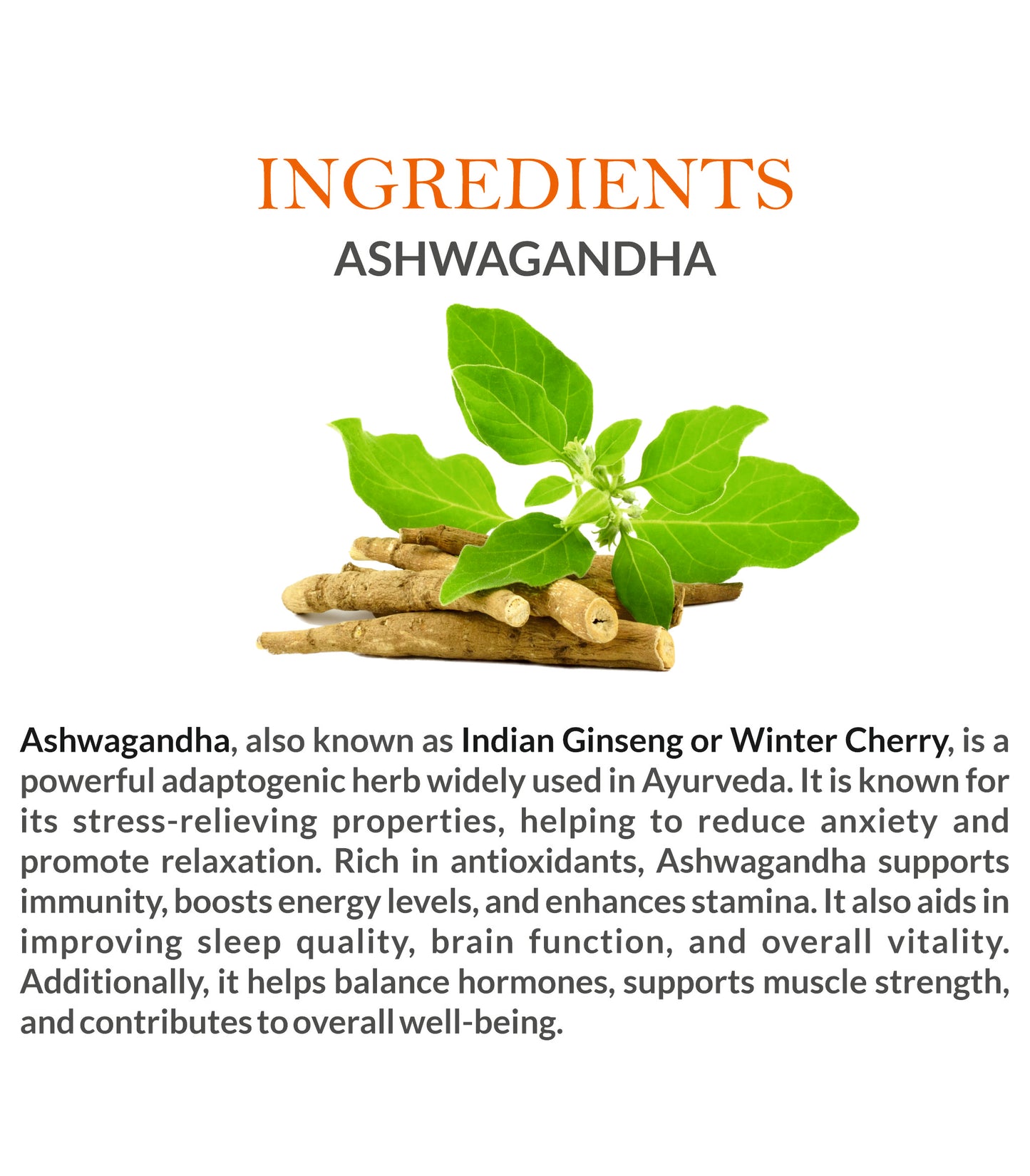Natural Ingredients in Mountain Ayurveda Ashwagandha Powder – 100% Pure Ashwagandha Root Powder