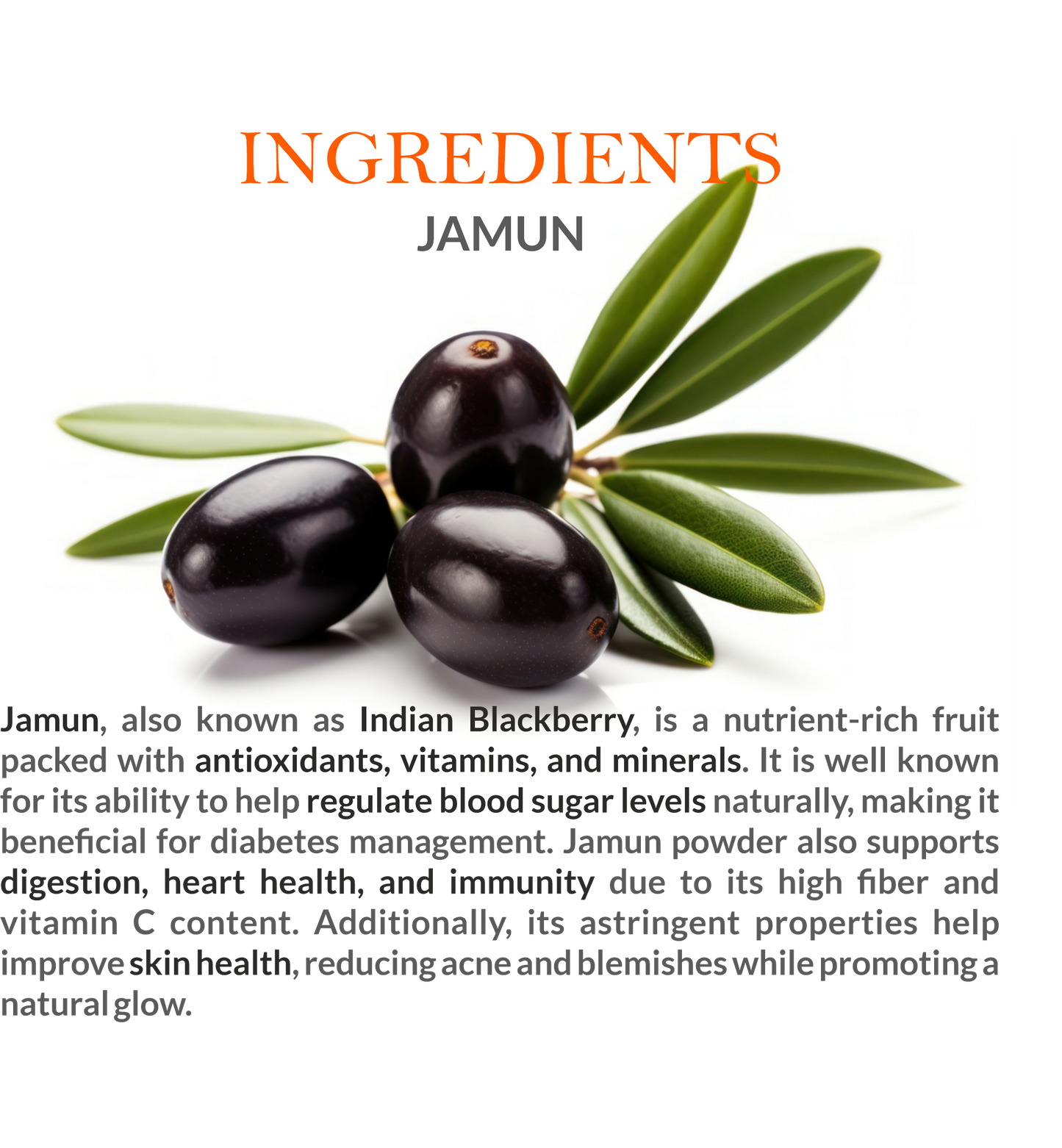 Natural Ingredients in Mountain Ayurveda Jamun Powder – 100% Pure Jamun Fruit Extract