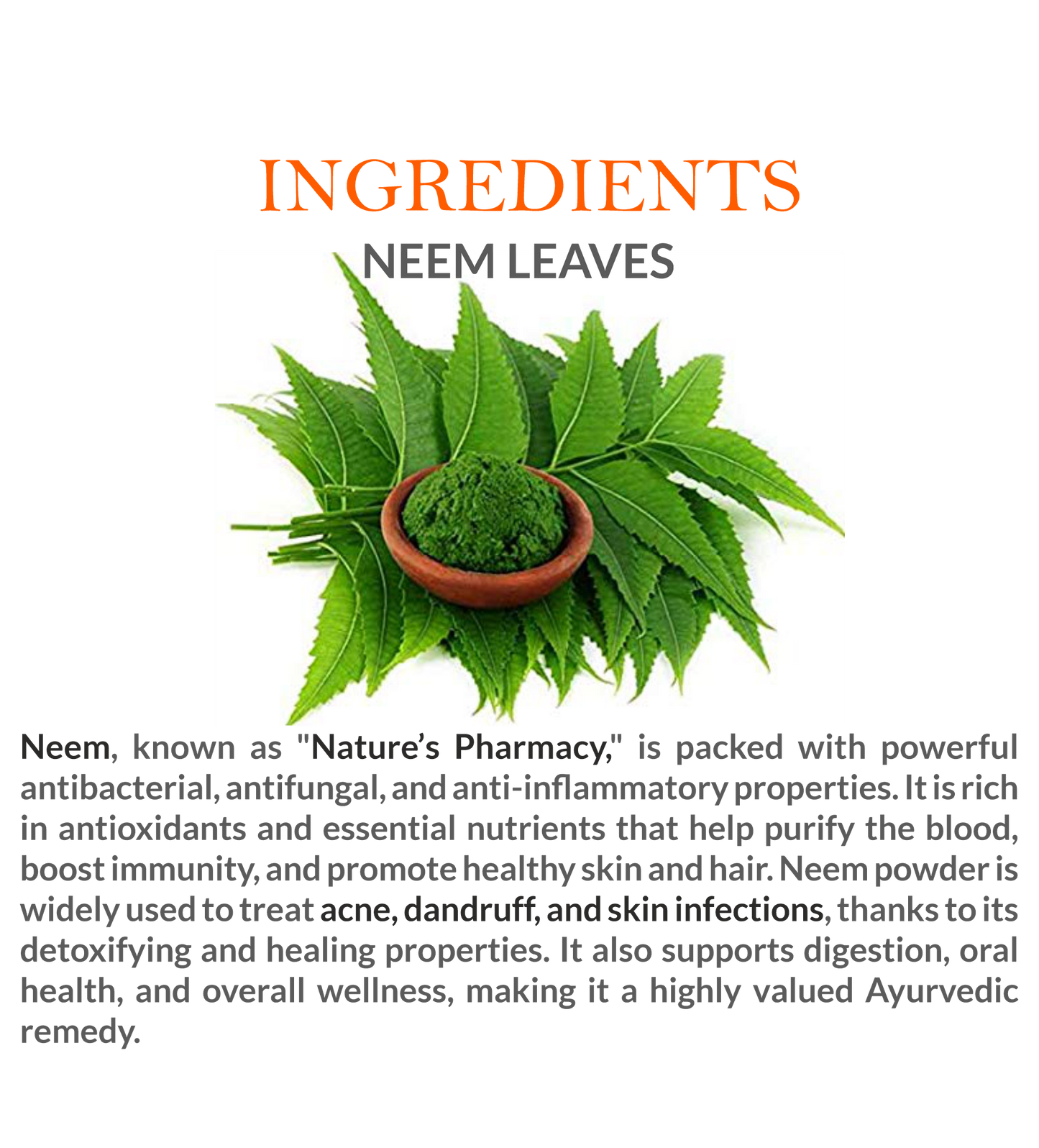 Natural Ingredients in Mountain Ayurveda Neem Patti Powder – 100% Pure Neem Leaves Powder
