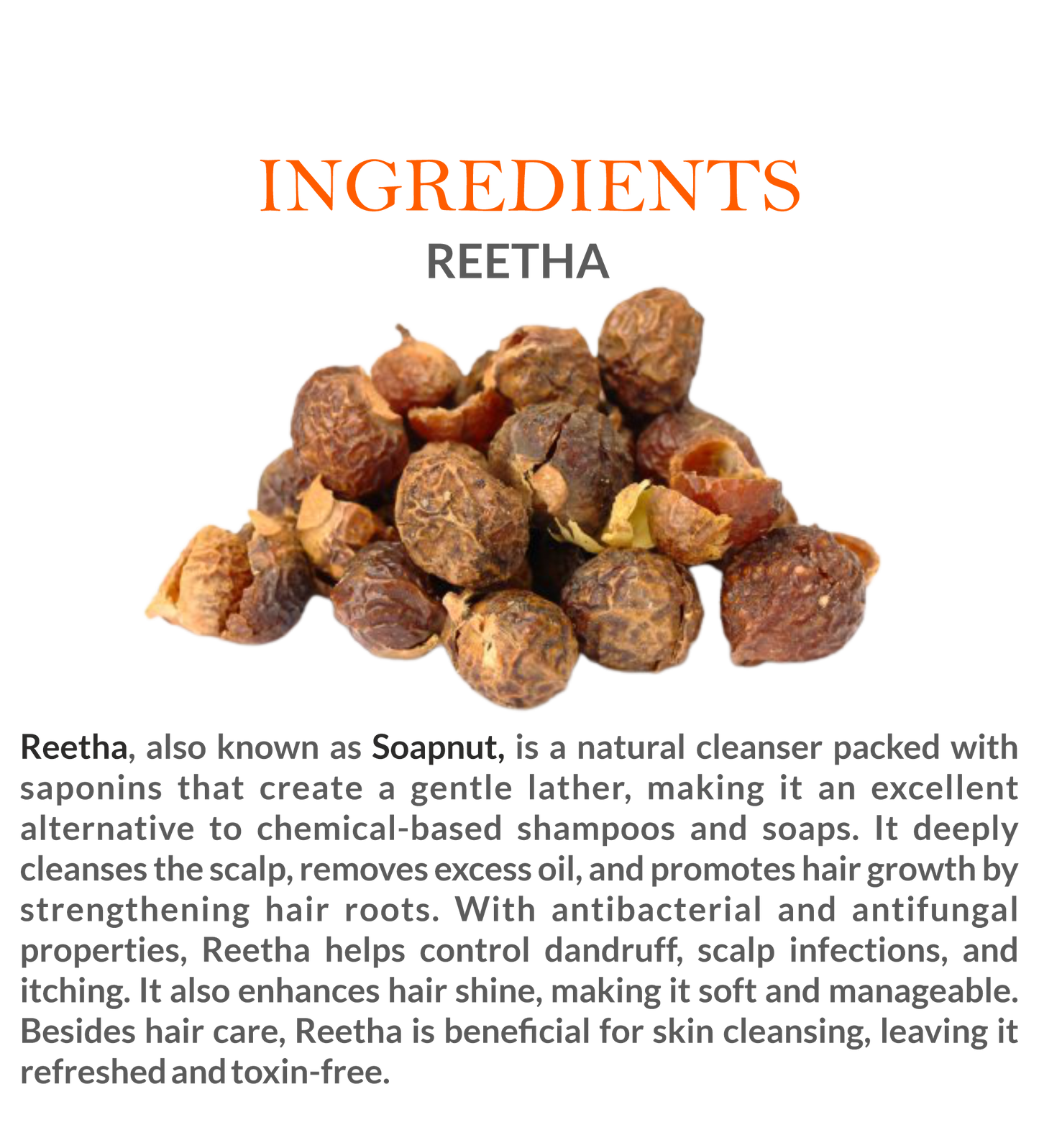 Natural Ingredients in Mountain Ayurveda Reetha Powder – 100% Pure Soapnut Extract