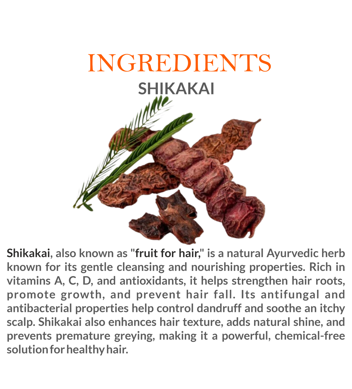 Natural Ingredients in Mountain Ayurveda Shikakai Powder – 100% Pure Shikakai Powder