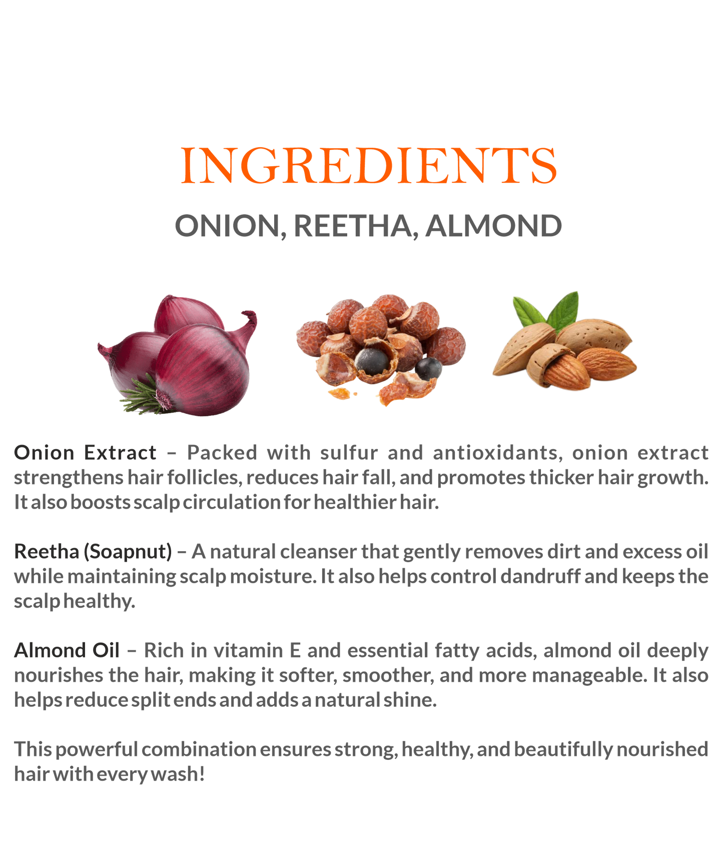 Natural Ingredients in Mountain Ayurveda Onion Shampoo – Red Onion, Bhringraj & Herbal Extracts