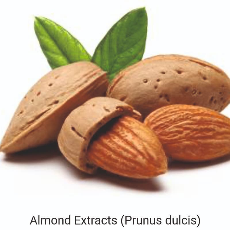 Uses and benefits of Almond Extracts (Prunus dulcis) for skin care