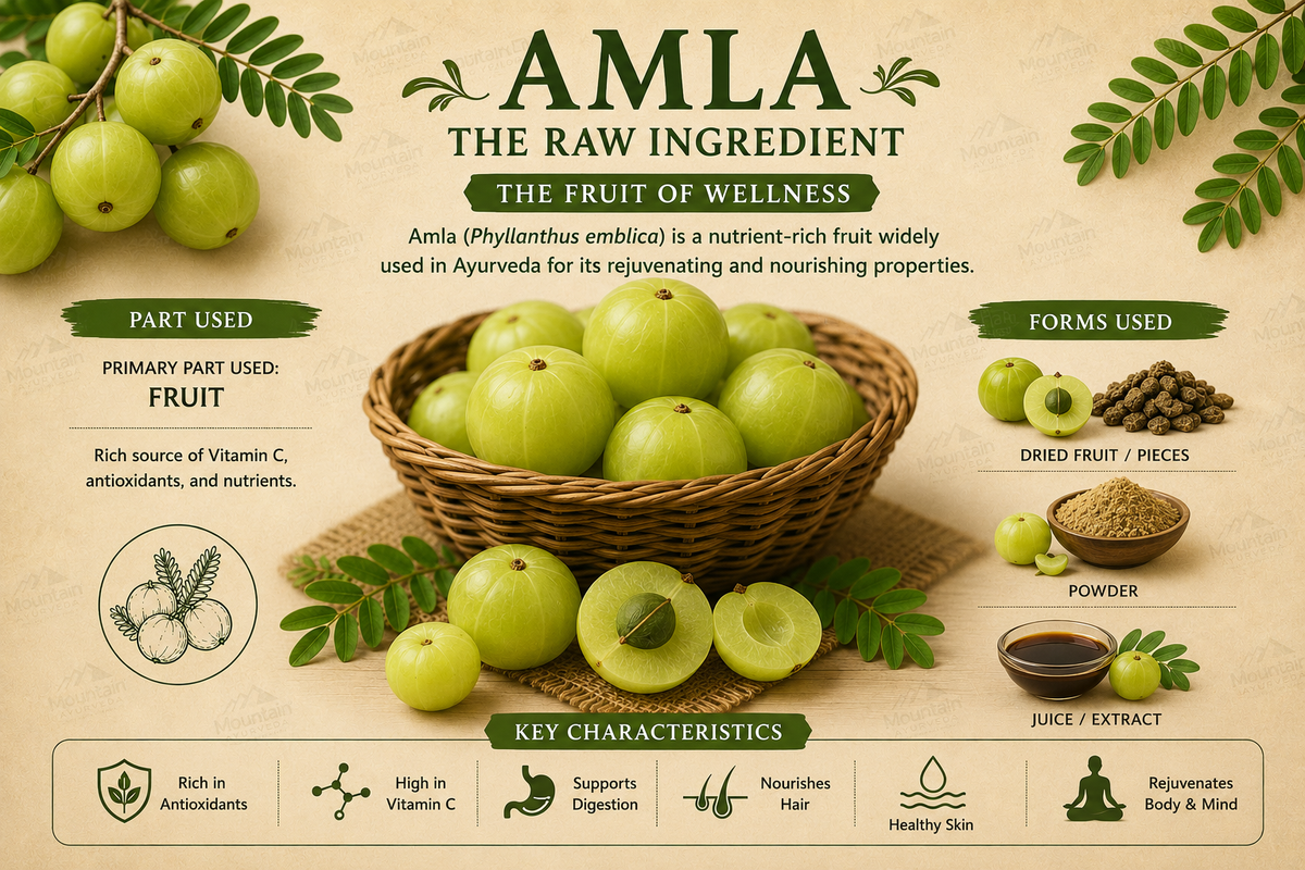 Amla (Phyllanthus emblica) fruit in its primary raw forms, including fresh fruit, dried fruit, powder, and extract—the traditional forms most commonly used in Ayurvedic preparations, herbal formulations, and wellness applications.