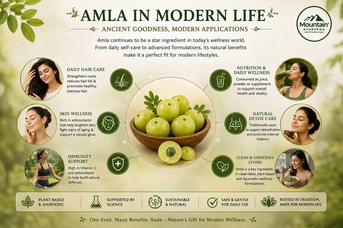 Amla continues to play an important role in modern wellness, where its traditional Ayurvedic uses are reflected in contemporary applications for hair care, skincare, nutrition, immunity support, and daily self-care practices.