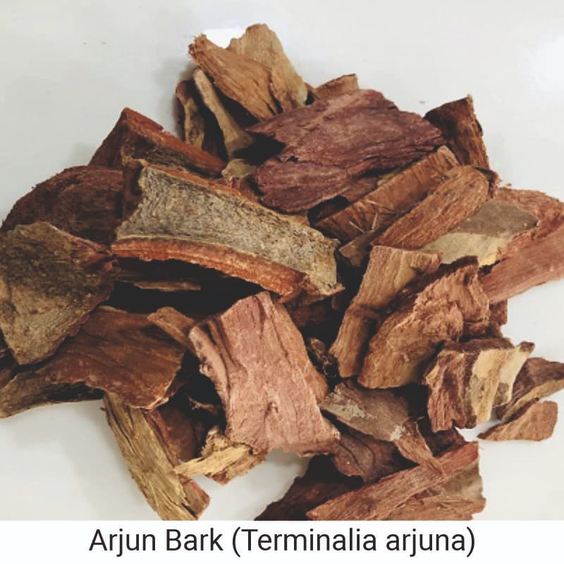 Uses and Benefits of Arjun Bark (Terminalia arjuna)