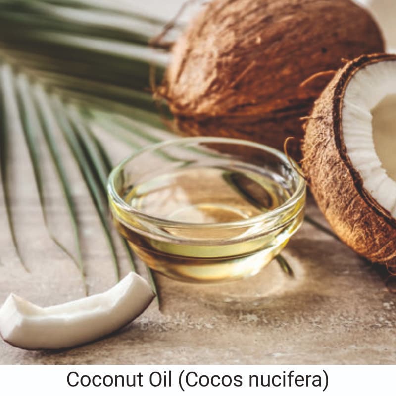 Coconut Oil (Cocos nucifera) Based Soaps