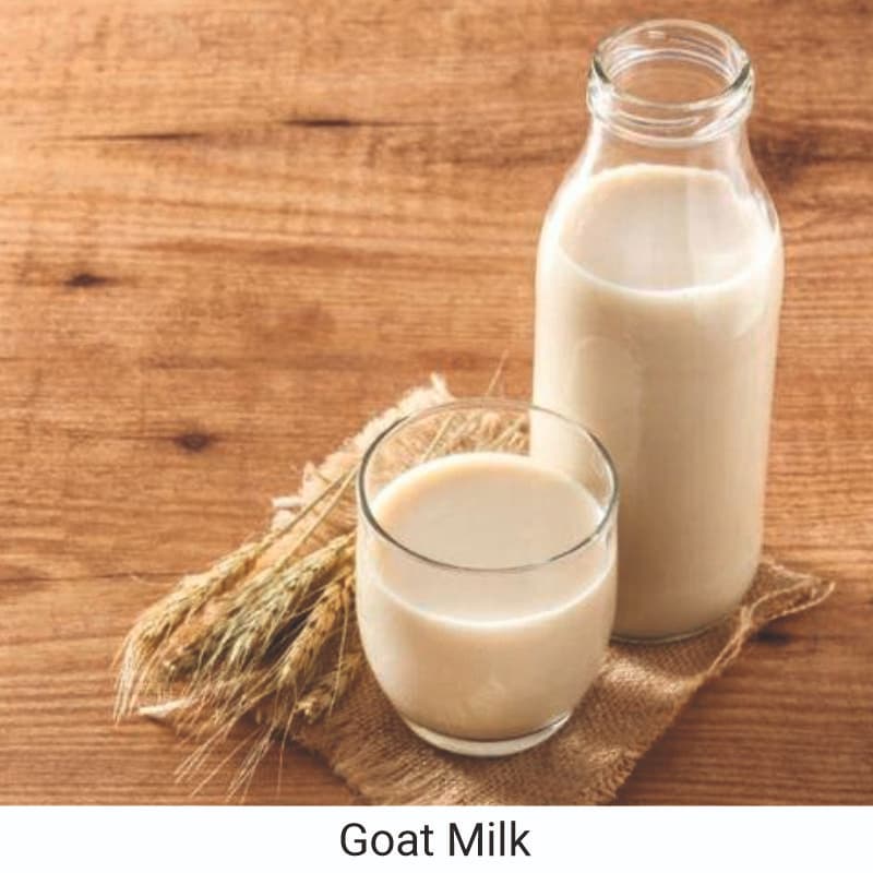 Health benefits of drinking goat milk
