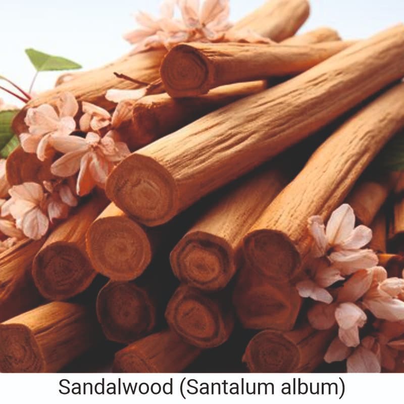 Benefits of Sandalwood (Santalum album) for skin