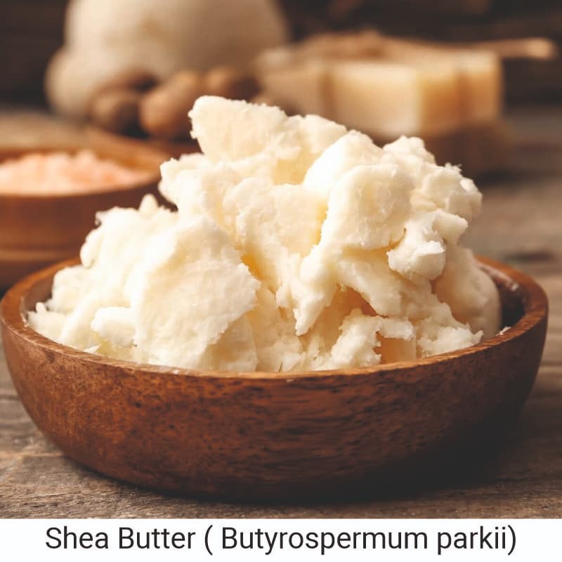 How to use Shea Butter  (Butyrospermum parkii) to moisturize the skin