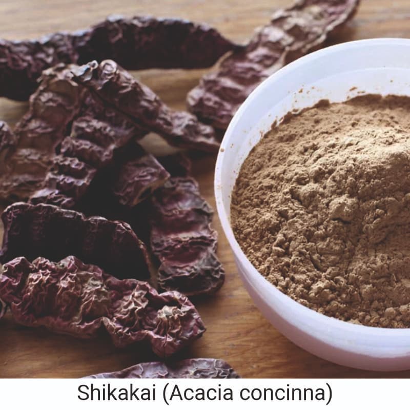 Uses and benefits of Shikakai (Acacia concinna) for hair care