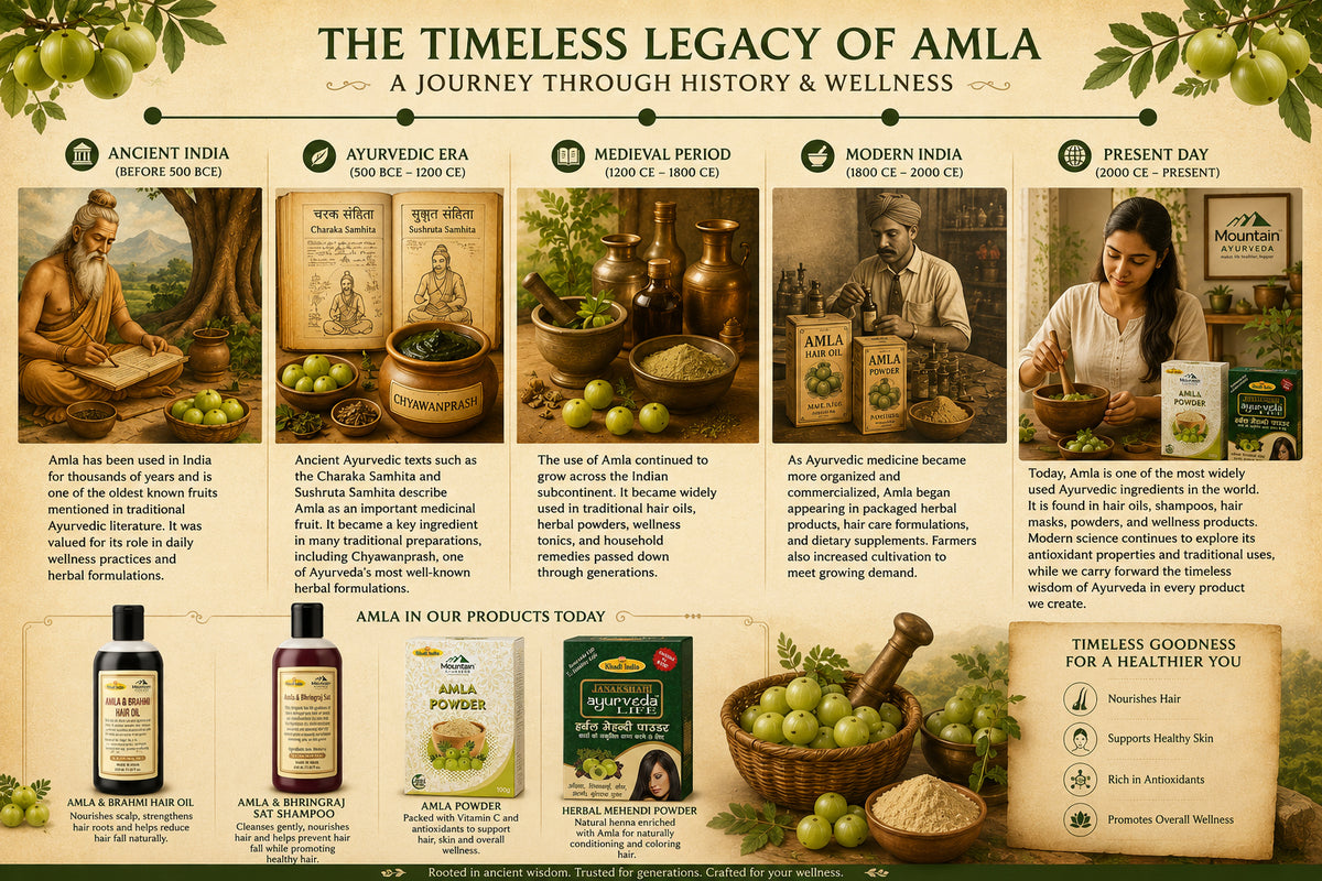 The historical journey of Amla from ancient Ayurvedic texts and traditional herbal preparations to its widespread use in modern hair care, wellness, and botanical formulations.