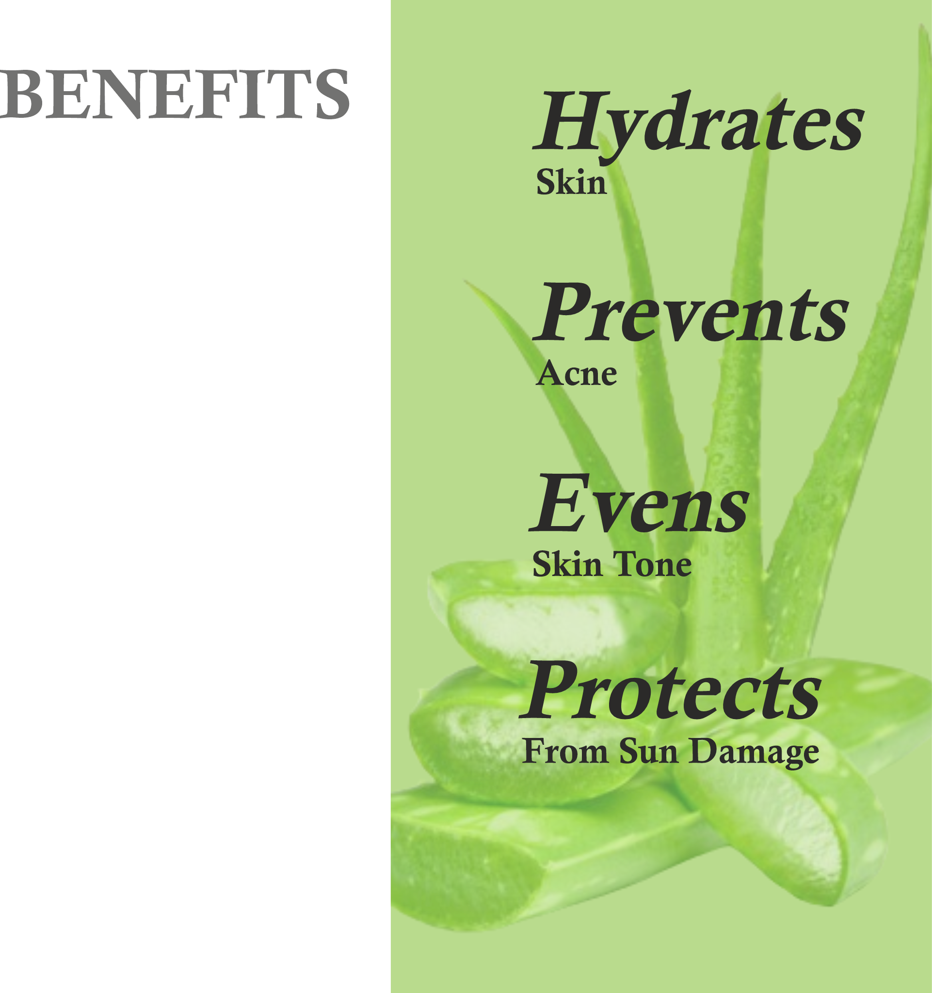 Benefits of Mountain Ayurveda Aloe Vera Gel – Moisturizing, Soothing, Anti-Aging, Hair Nourishment