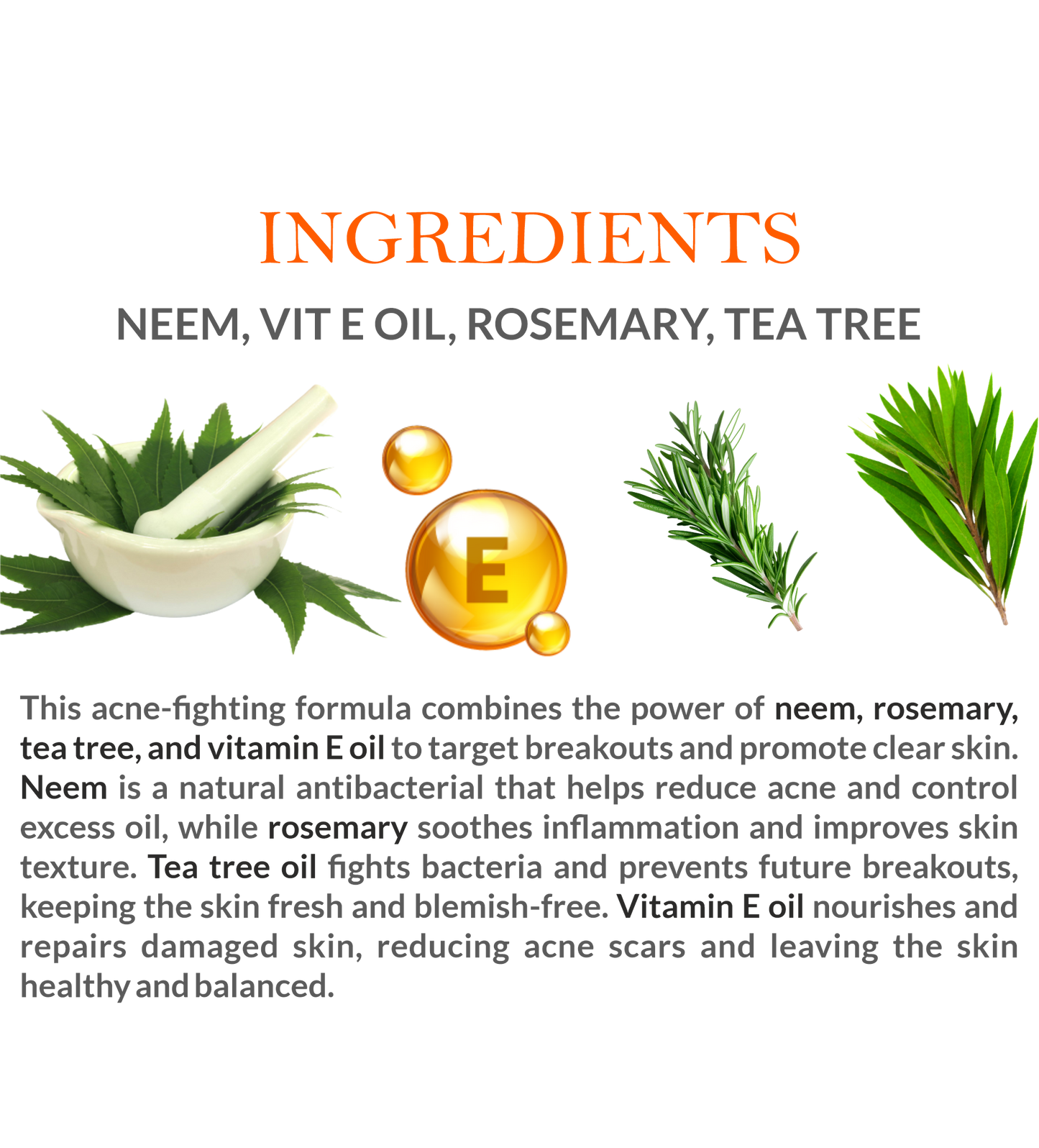 Natural Ingredients in Mountain Ayurveda Anti-Acne & Pimple Cream – Neem, Turmeric, Tea Tree Oil