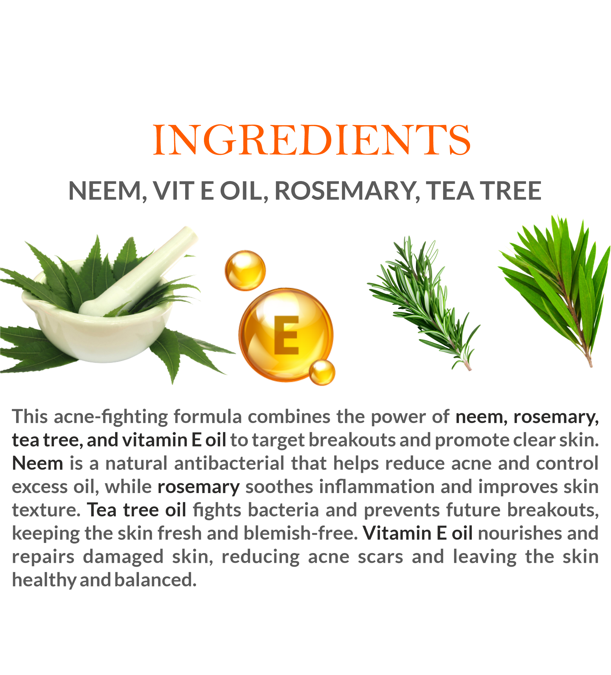 Natural Ingredients in Mountain Ayurveda Anti-Acne & Pimple Cream – Neem, Turmeric, Tea Tree Oil