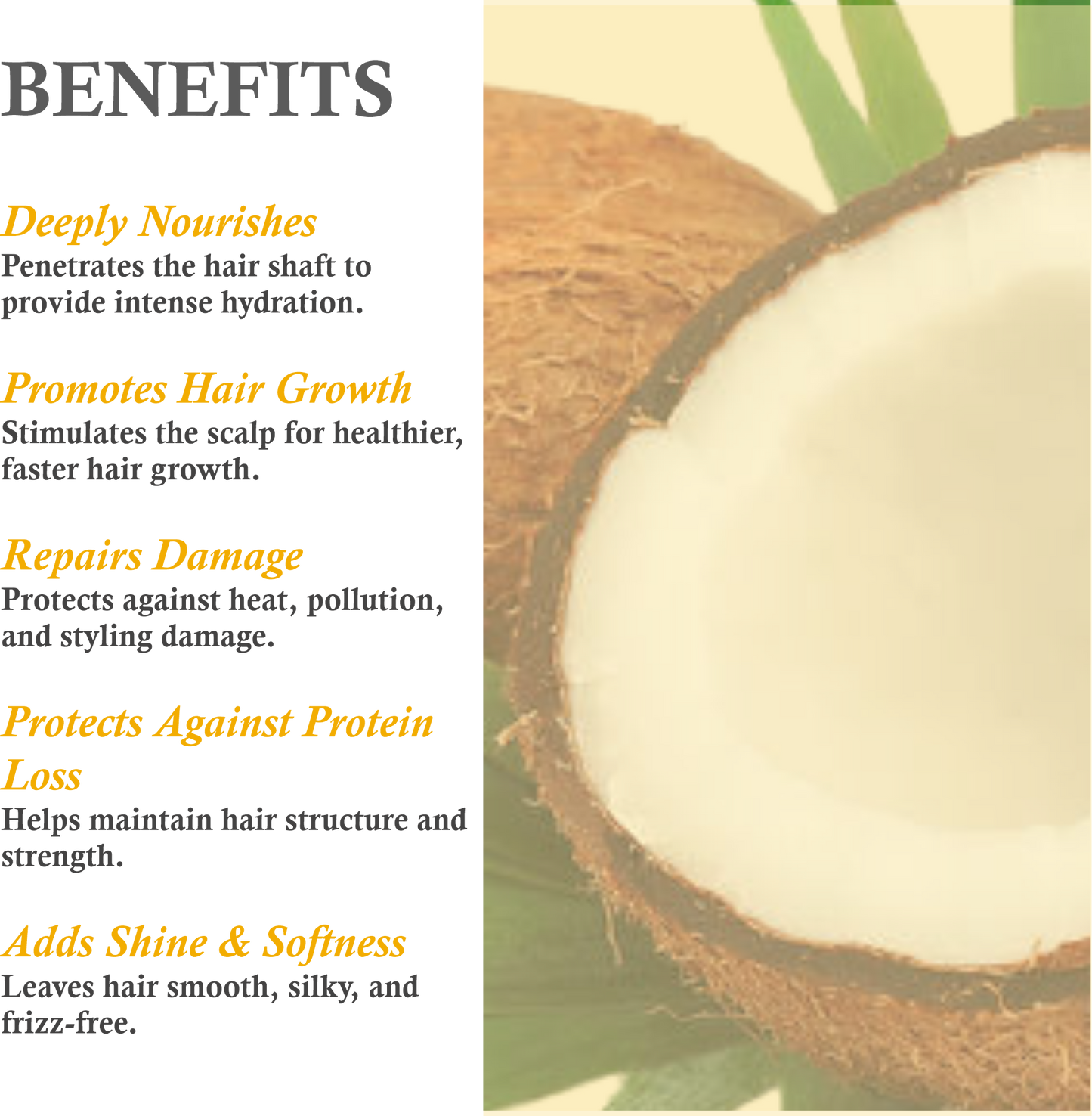 Benefits of Mountain Ayurveda Pure Coconut Oil – Skin Hydration, Hair Growth & Cooking