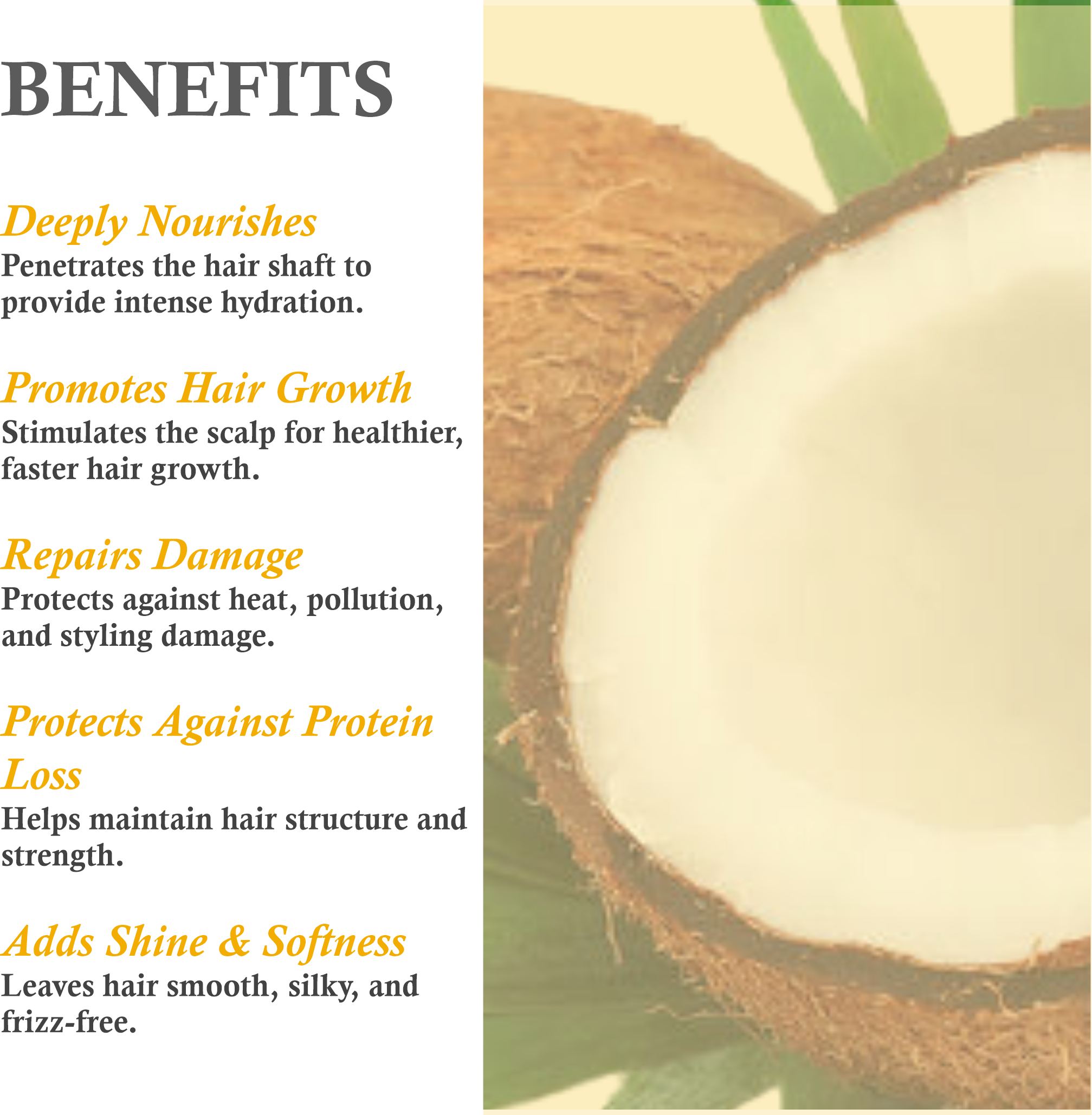Benefits of Mountain Ayurveda Pure Coconut Oil – Skin Hydration, Hair Growth & Cooking