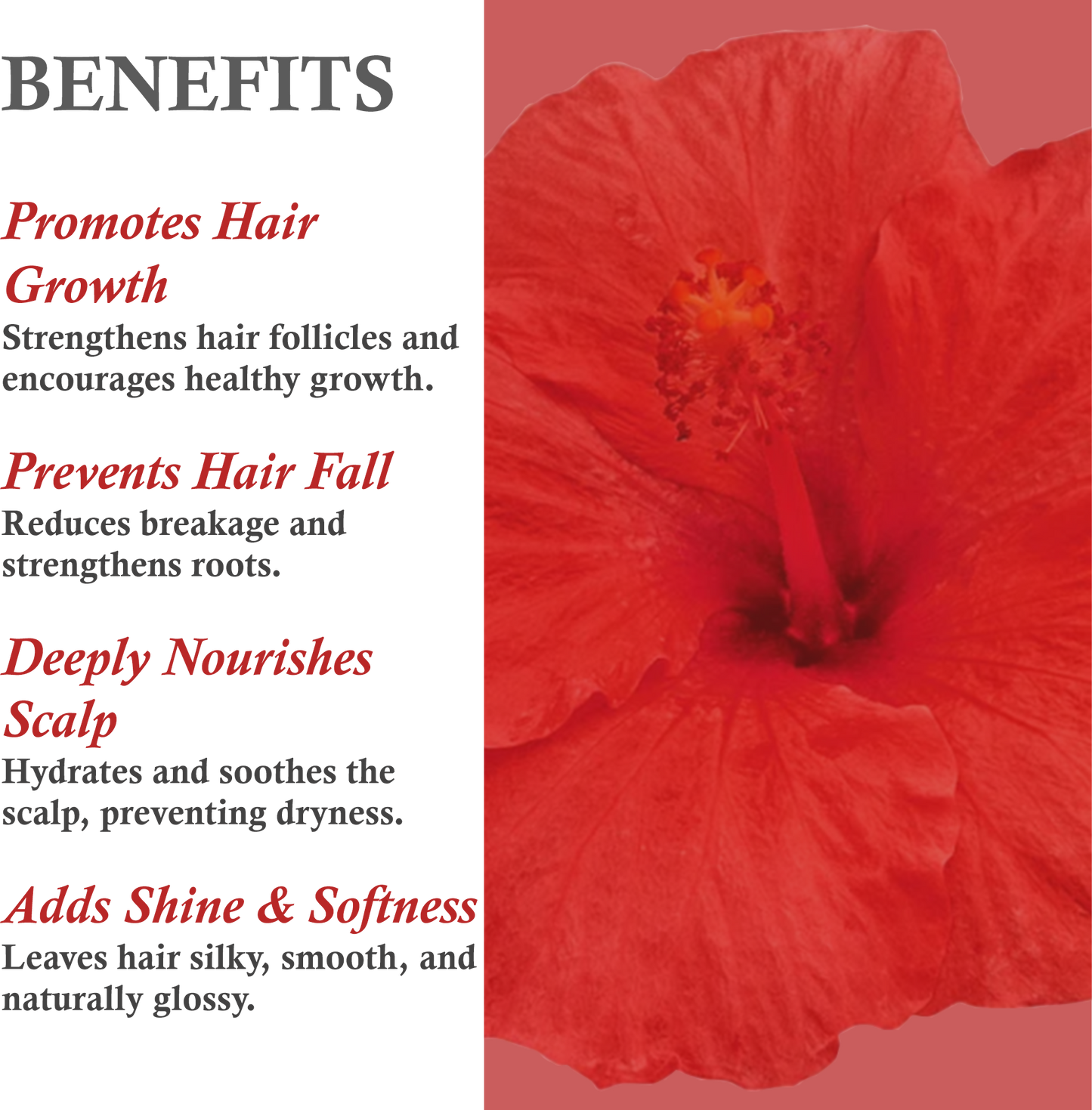 Benefits of Mountain Ayurveda Hibiscus Shampoo – Gentle Cleansing, Deep Conditioning, Hair Strengthening
