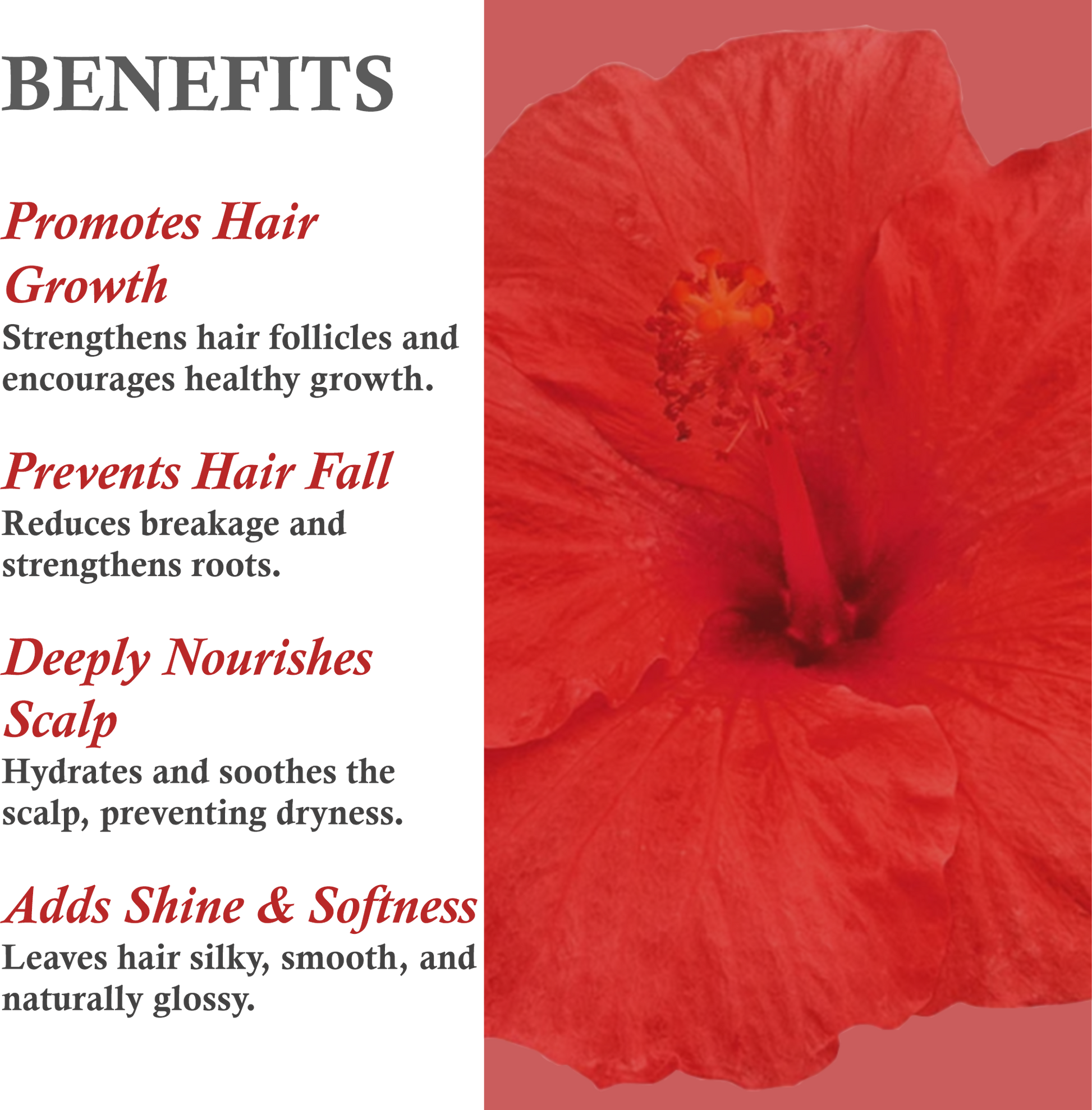 Benefits of Mountain Ayurveda Hibiscus Shampoo – Gentle Cleansing, Deep Conditioning, Hair Strengthening