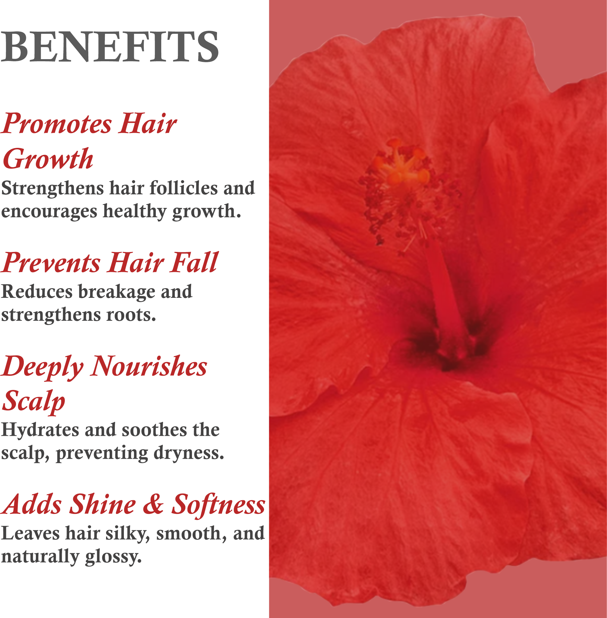 Benefits of Mountain Ayurveda Hibiscus Shampoo – Gentle Cleansing, Deep Conditioning, Hair Strengthening