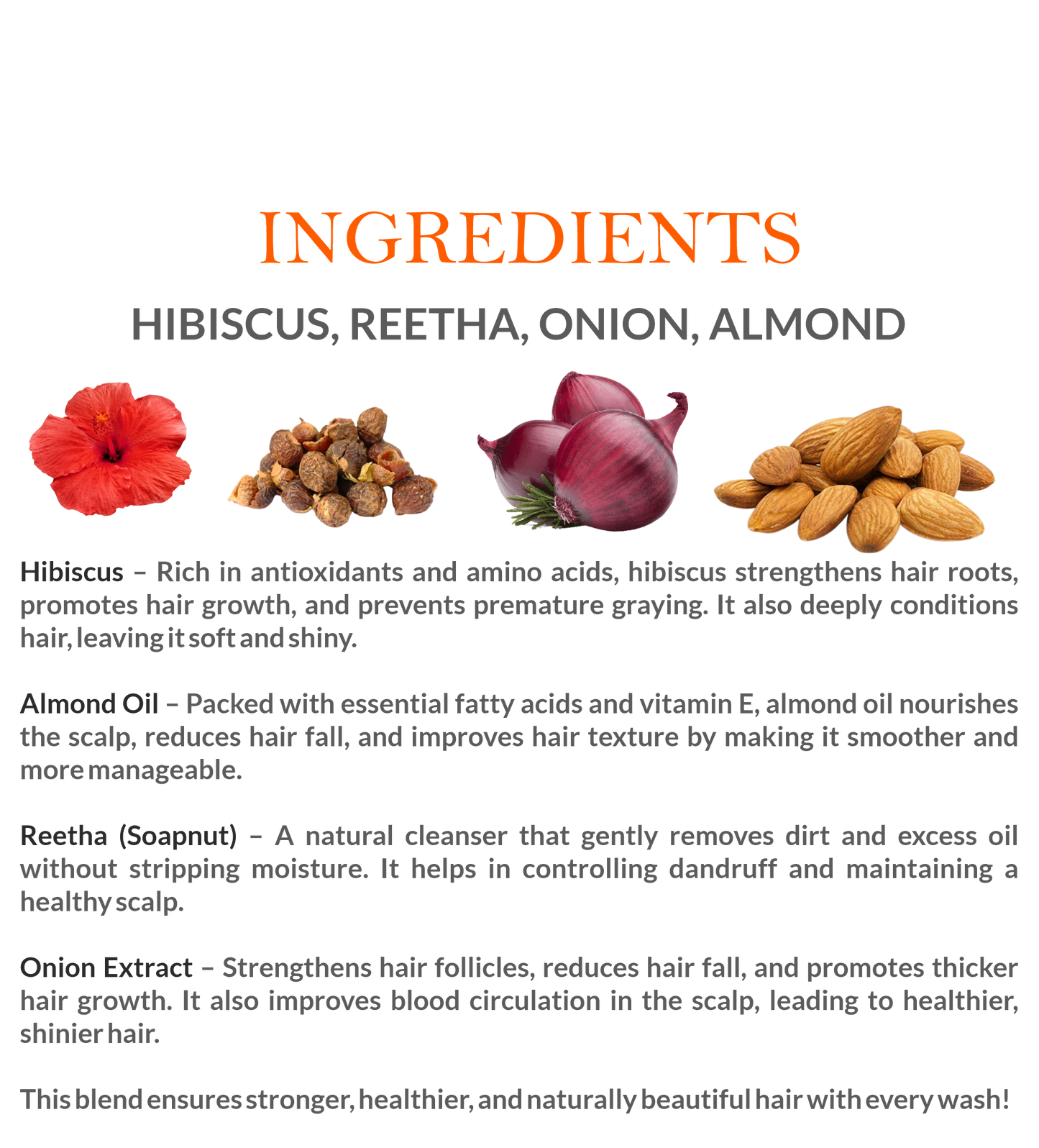 Natural Ingredients in Mountain Ayurveda Hibiscus Shampoo – Reetha, Bhringraj, Hibiscus