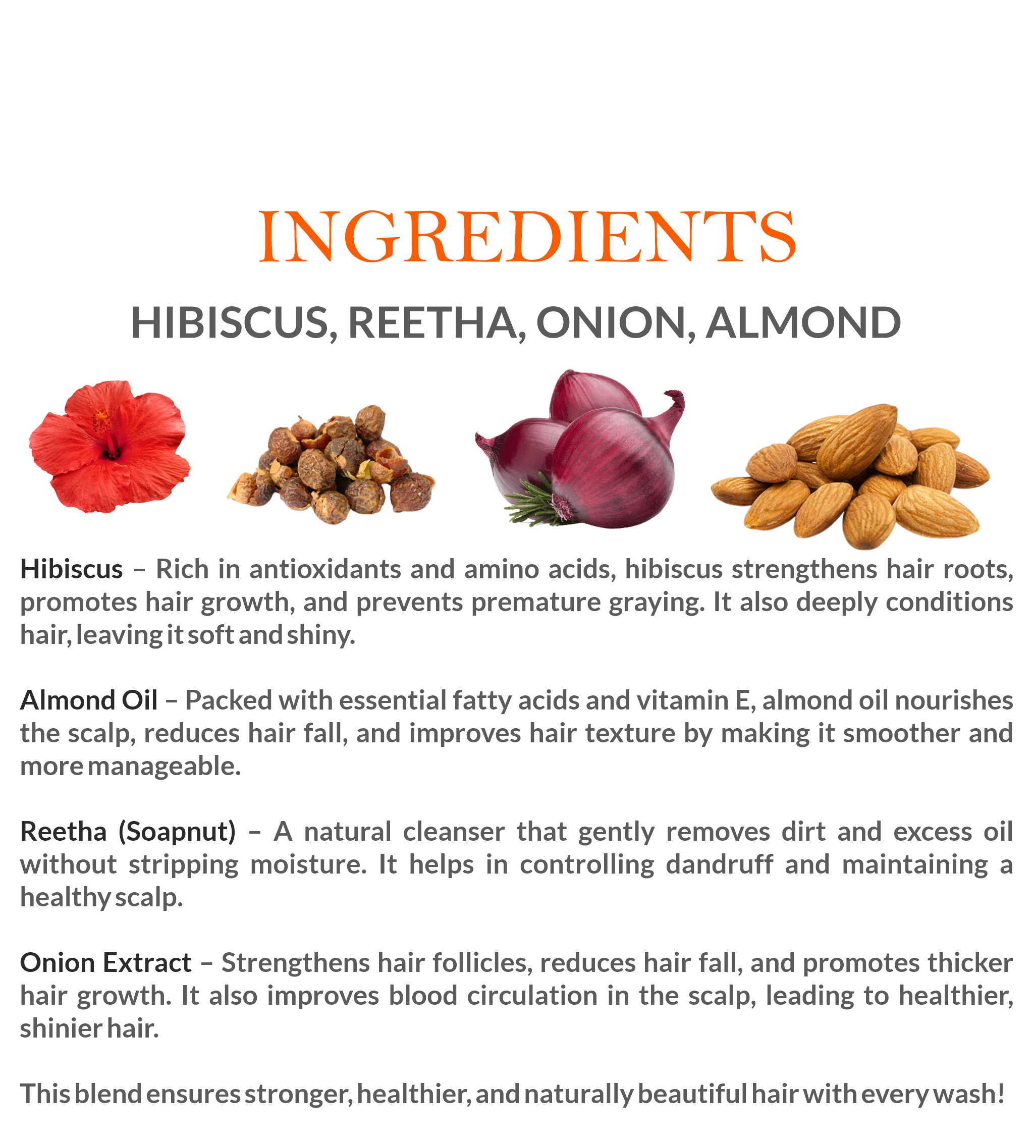 Natural Ingredients in Mountain Ayurveda Hibiscus Shampoo – Reetha, Bhringraj, Hibiscus