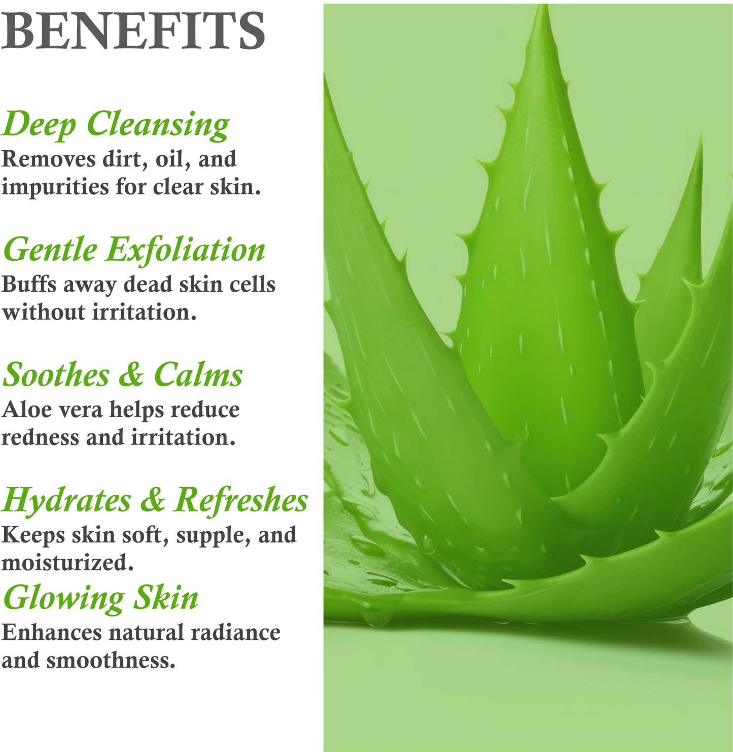 Benefits of Janakshahi Aloe Vera Face Scrub – Hydration, Exfoliation, Skin Renewal