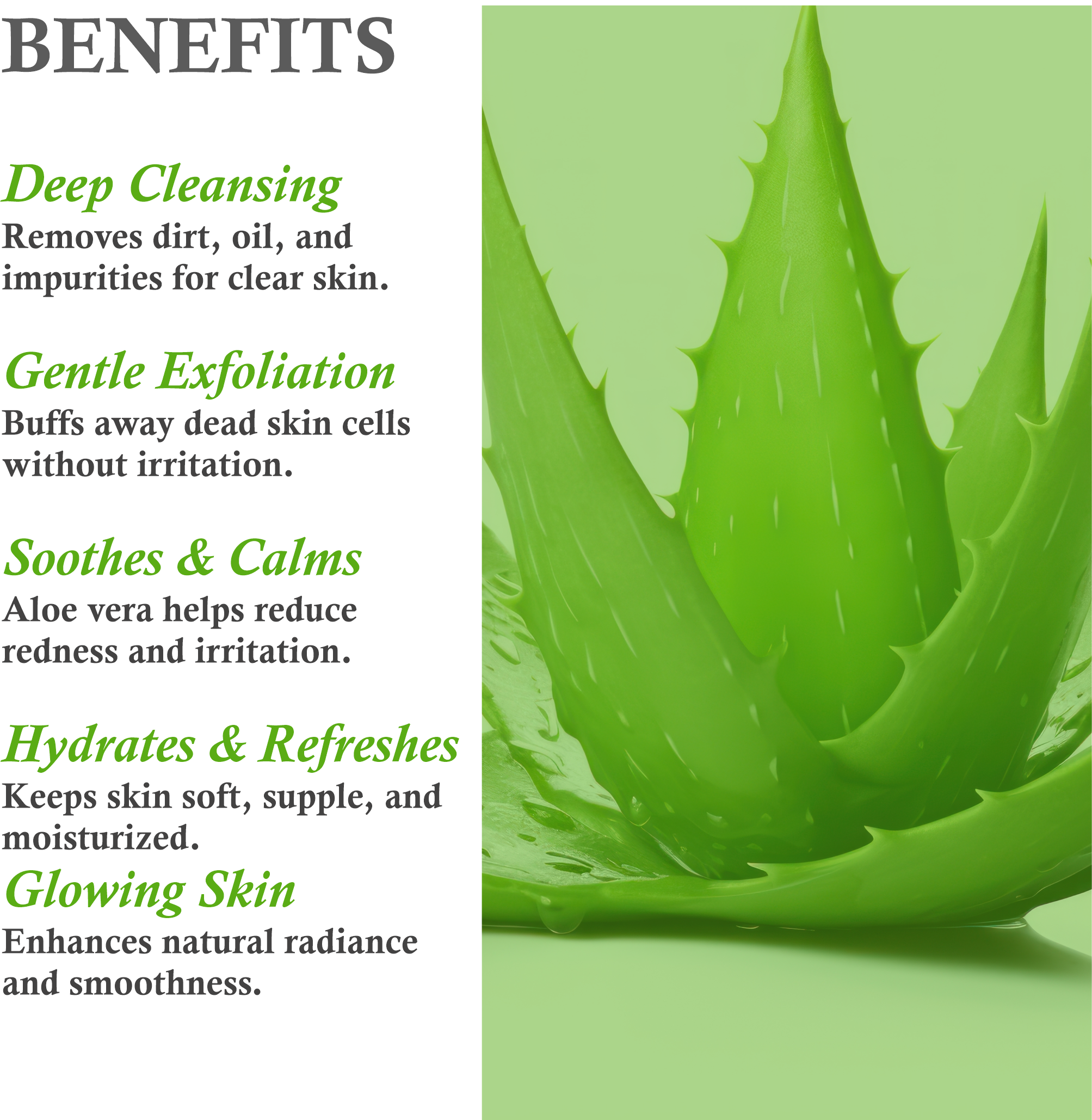 Benefits of Janakshahi Aloe Vera Face Scrub – Hydration, Exfoliation, Skin Renewal