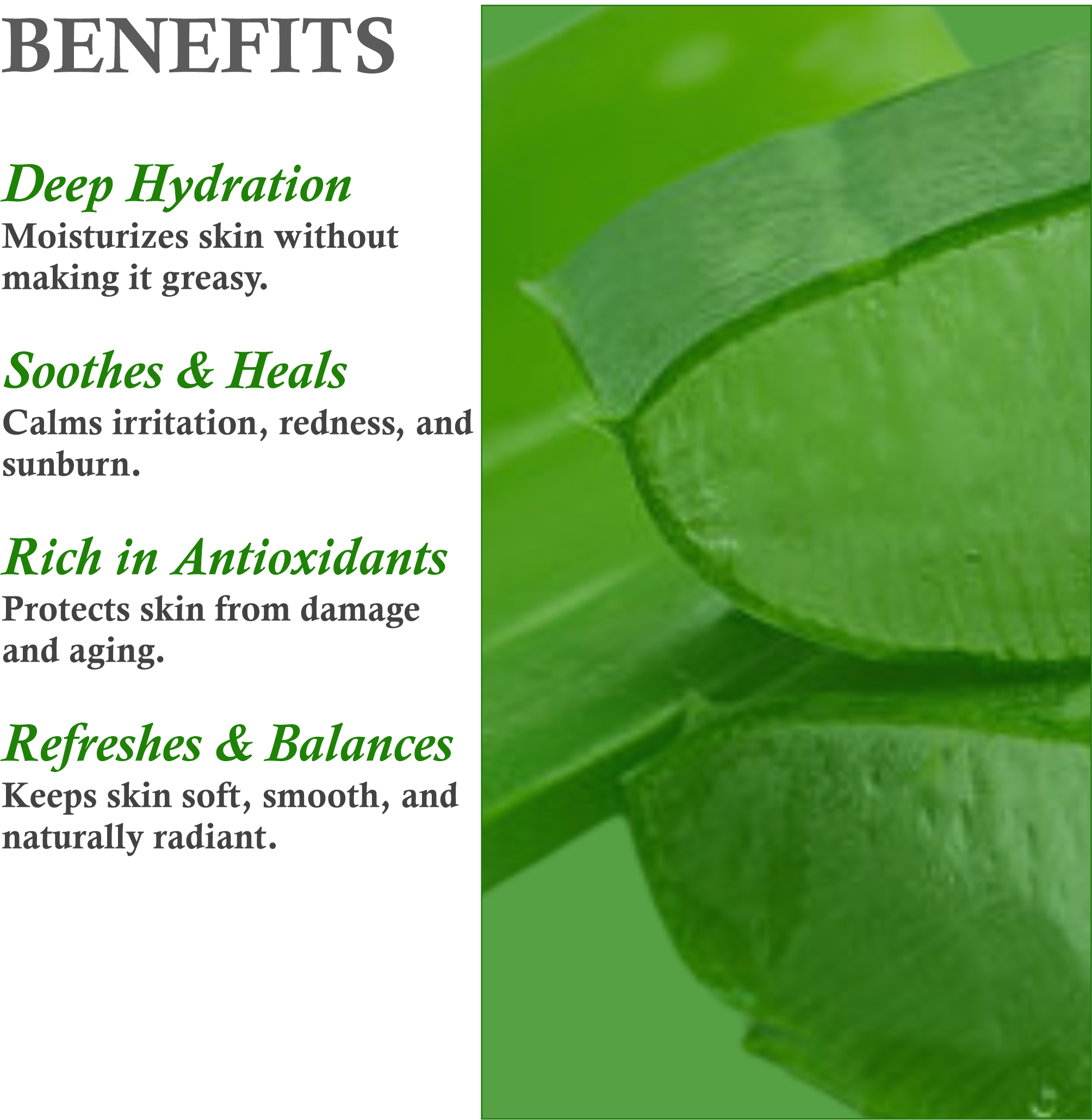 Benefits of Janakshahi Aloe Vera Face Wash – Hydration, Deep Cleansing, Skin Soothing