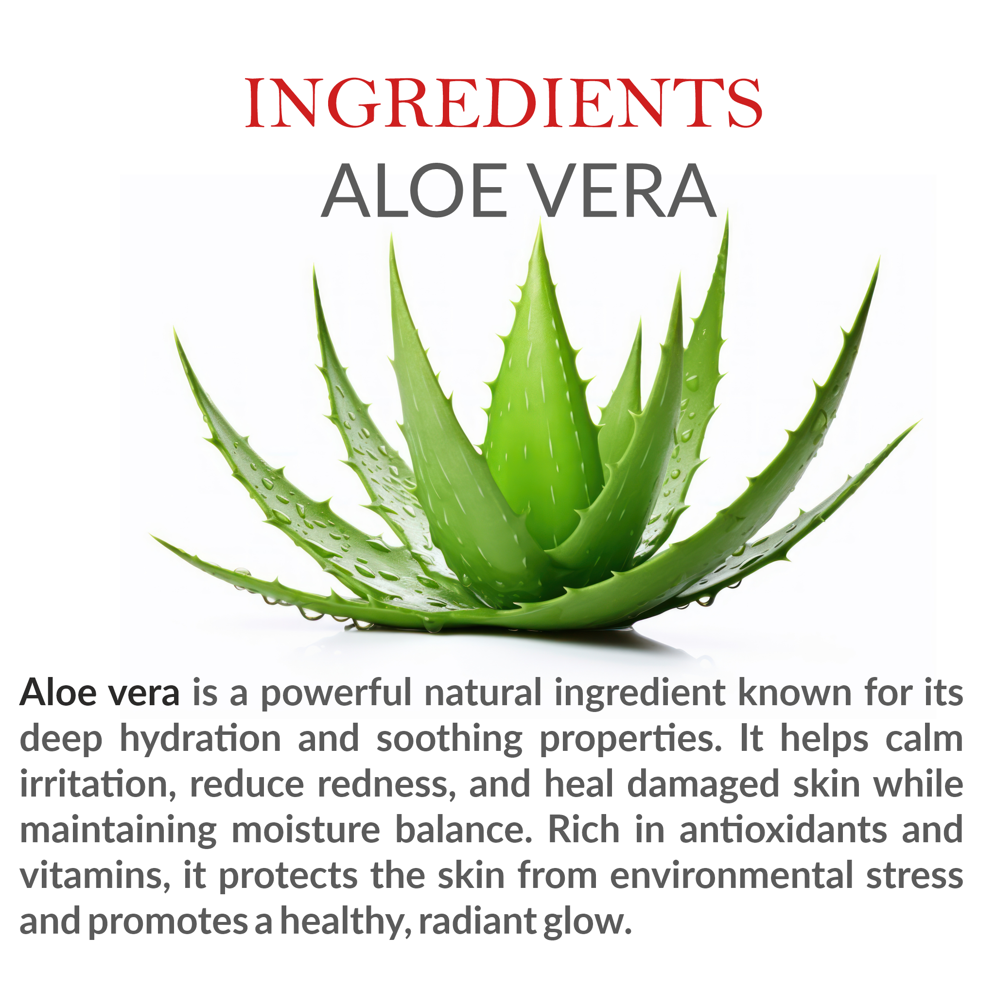 Natural Ingredients in Janakshahi Aloe Vera Face Wash – Aloe Vera & Herbal Extracts