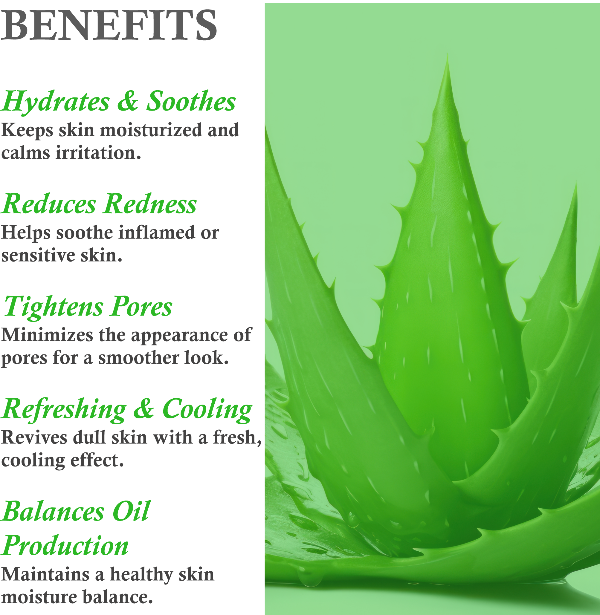 Benefits of Janakshahi Aloe Vera Toner – Hydration, Pore Cleansing, pH Balancing