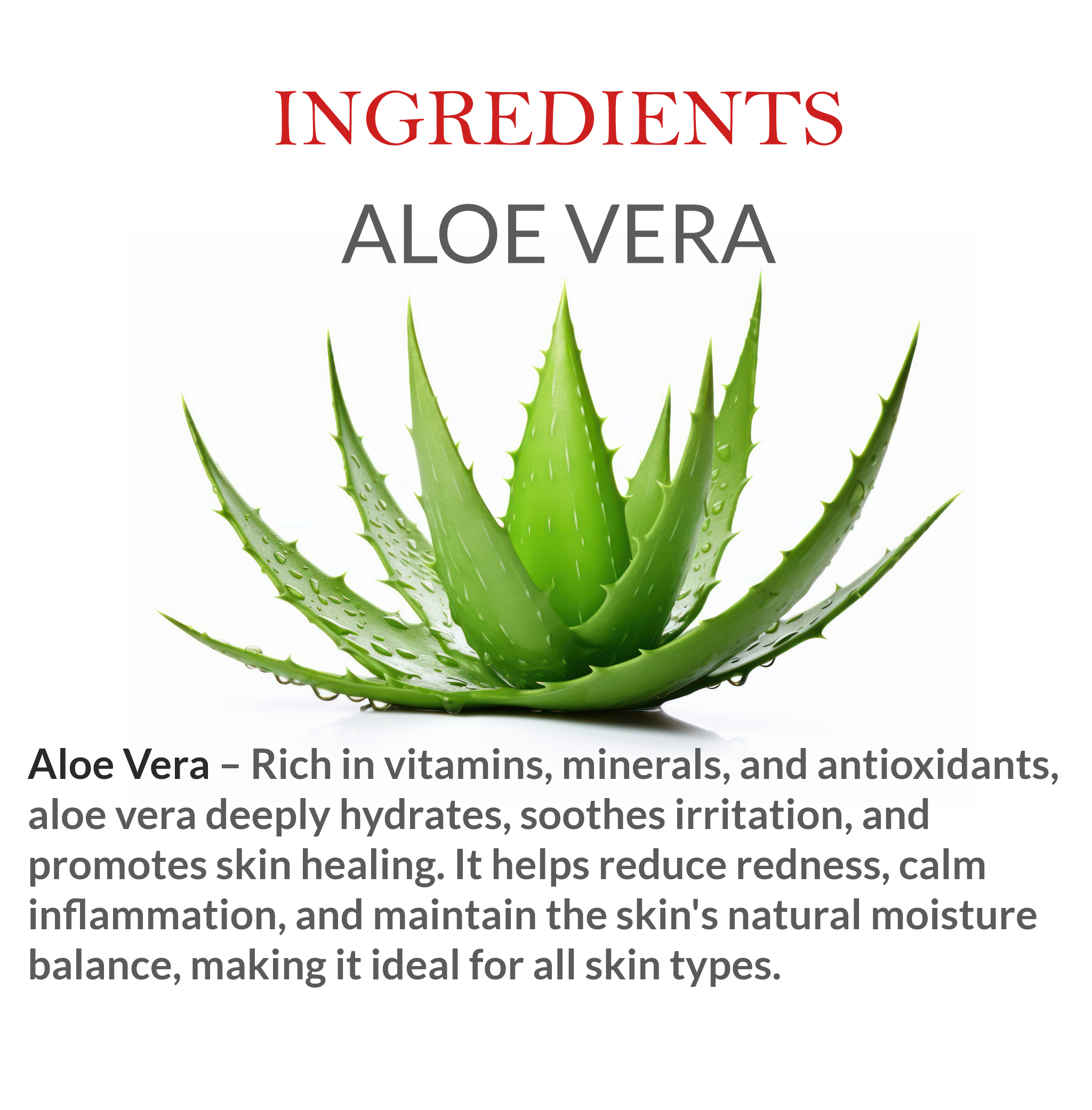 Natural Ingredients in Janakshahi Aloe Vera Toner – Herbal Face Care