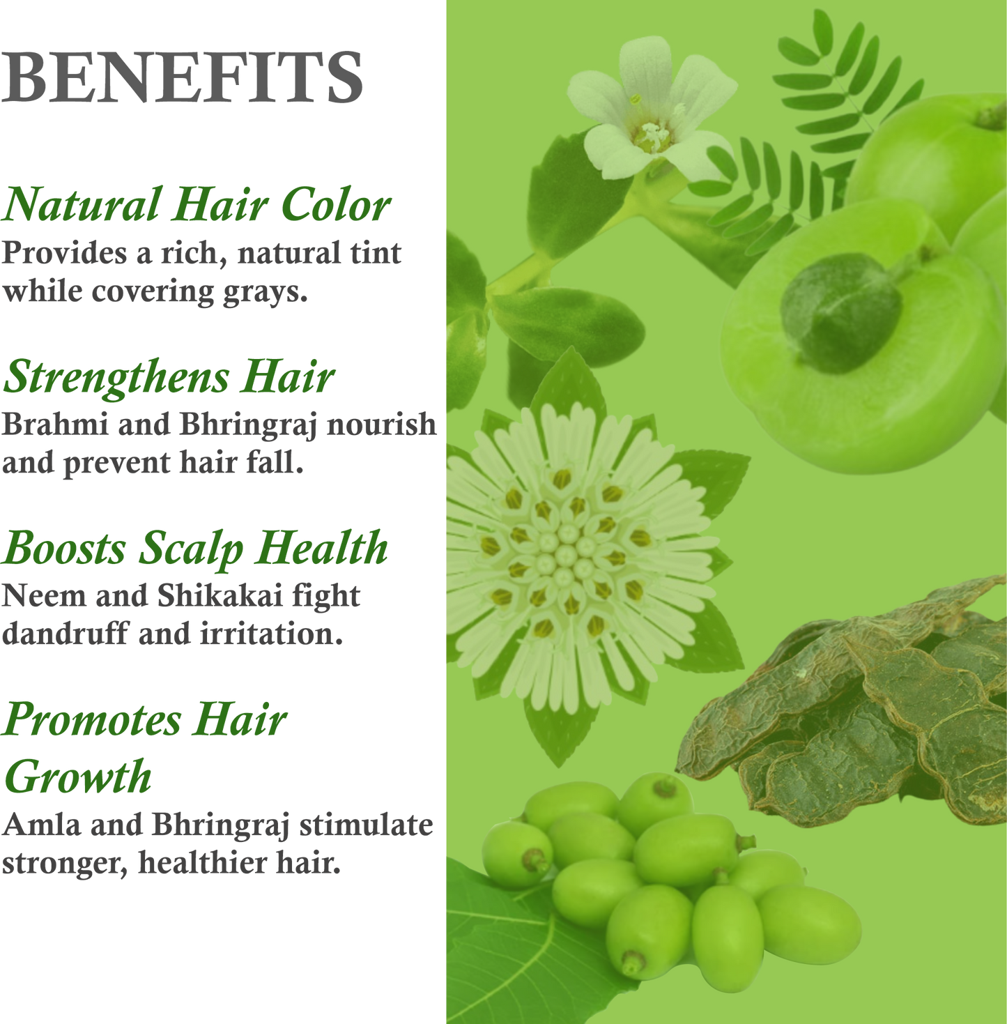 Benefits of Janakshahi Black Henna – Gray Coverage, Strengthening & Conditioning